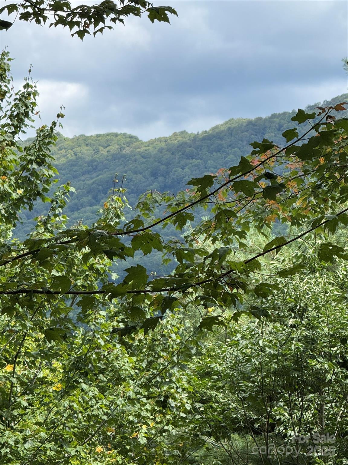 175 Ridgeview Road #2 — Sugar Mountain