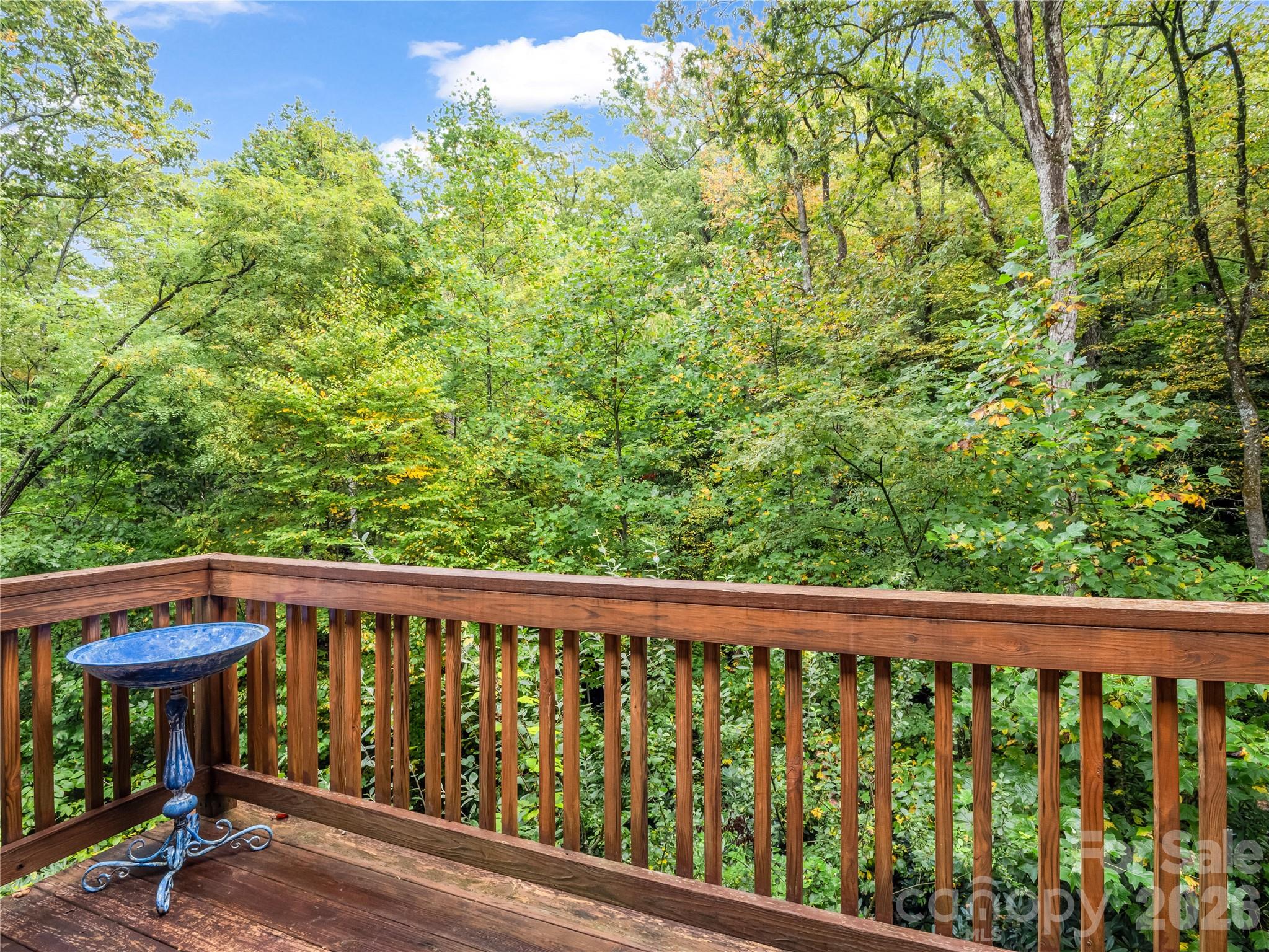 142 Winterview Trail — Hendersonville