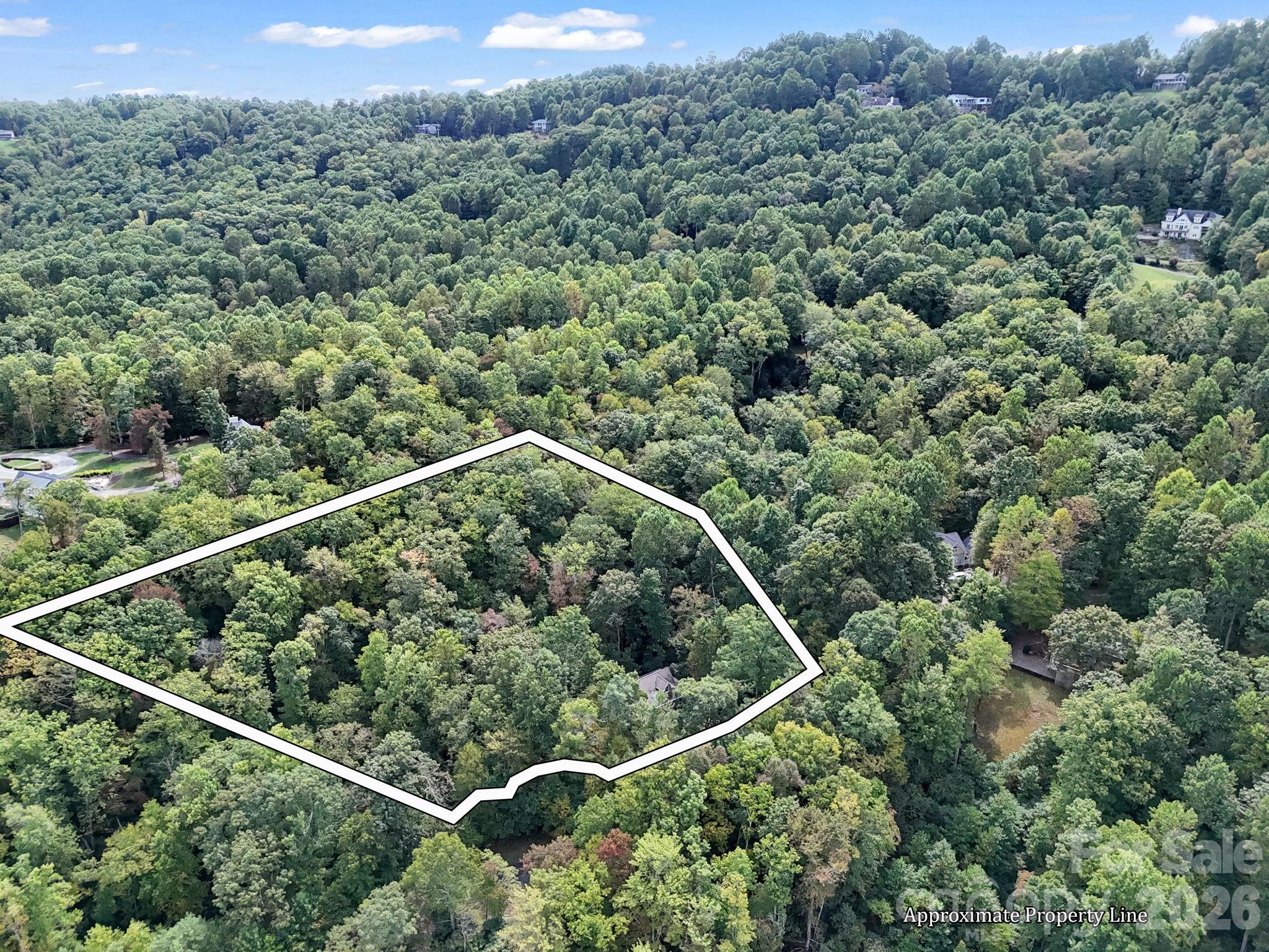 142 Winterview Trail — Hendersonville