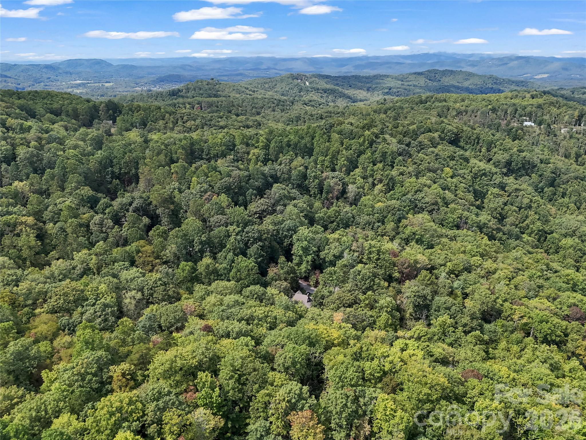 142 Winterview Trail — Hendersonville