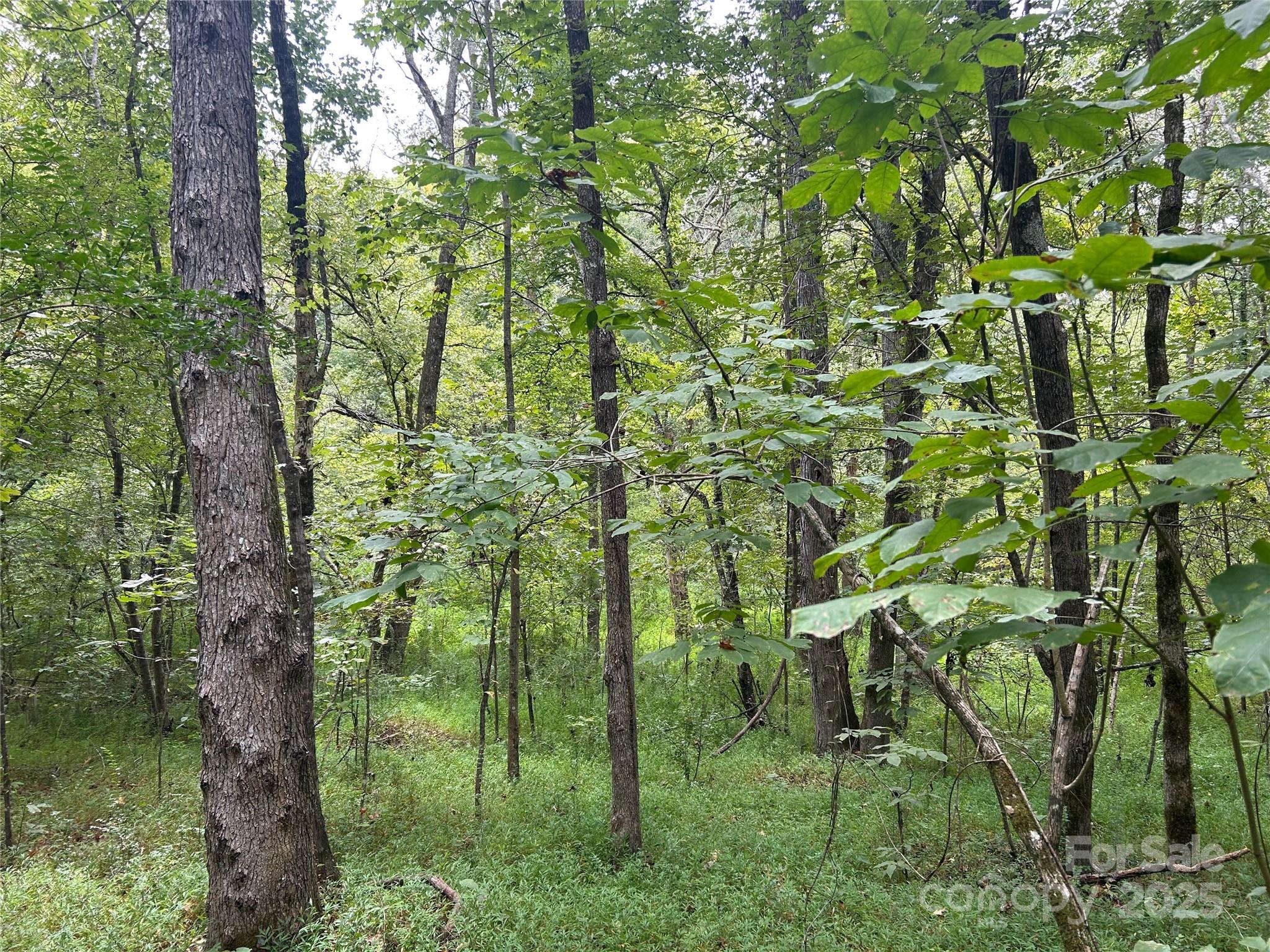 3485 Cedar Circle Road — Lancaster