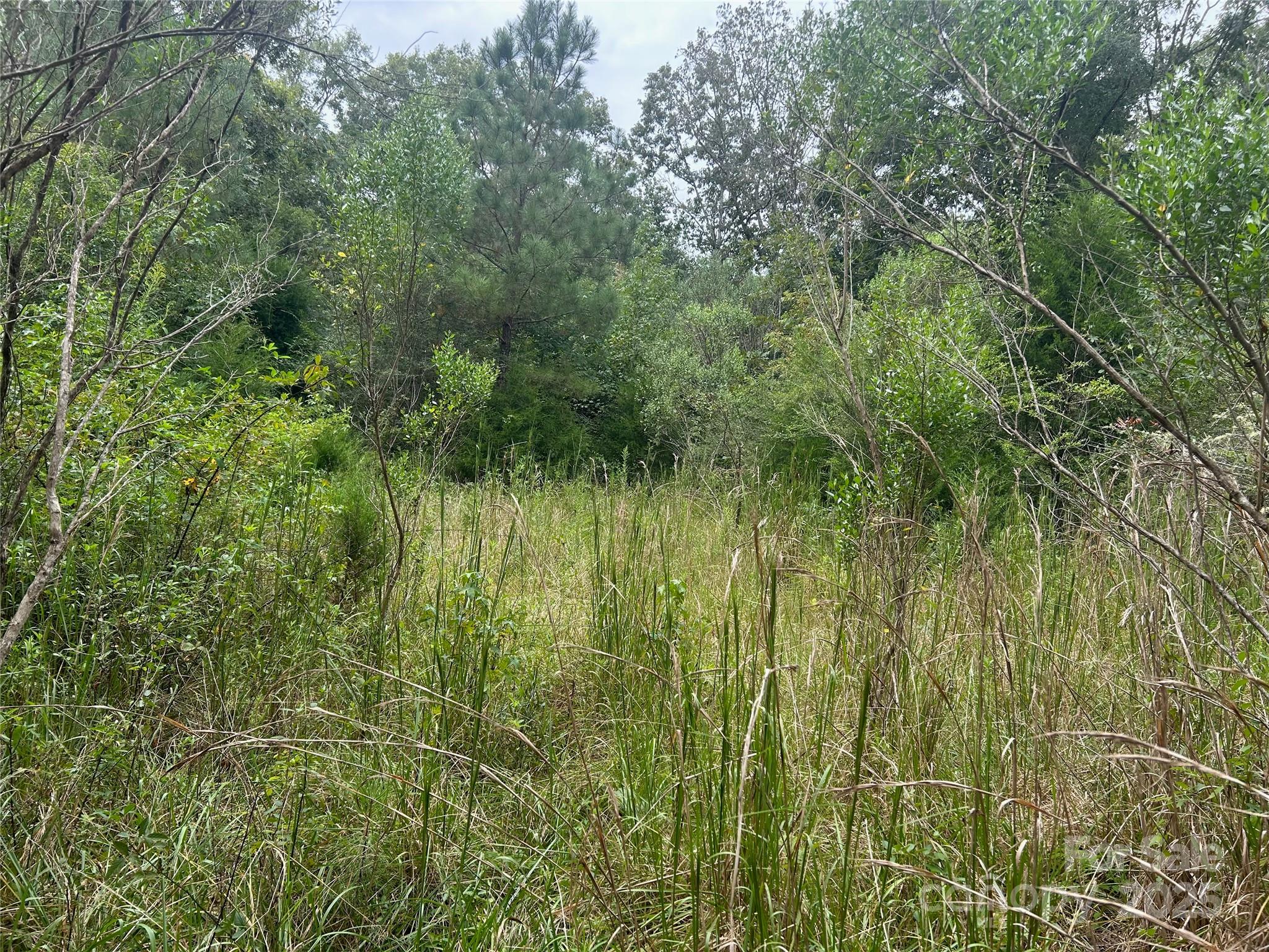 3485 Cedar Circle Road — Lancaster