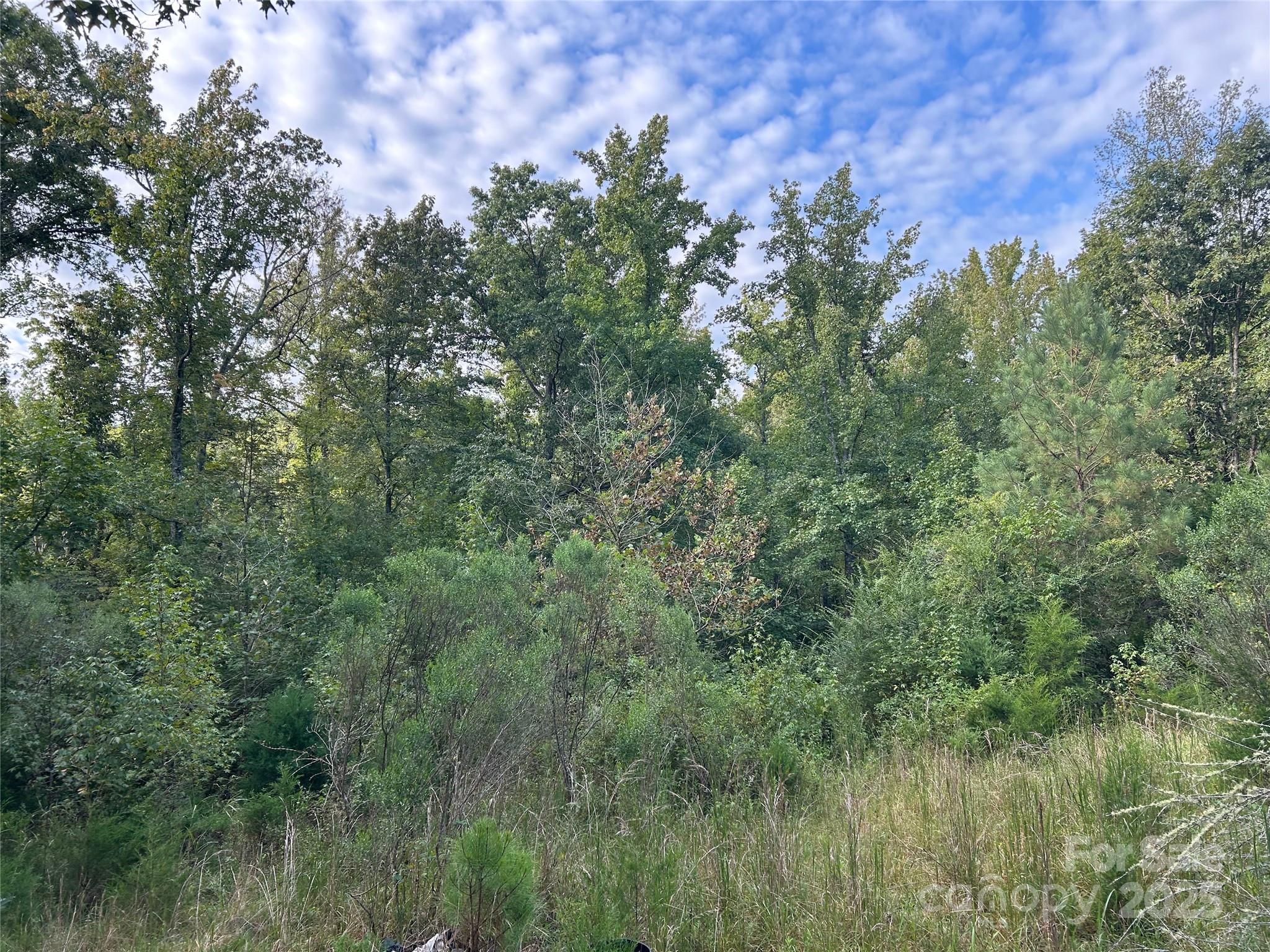3485 Cedar Circle Road — Lancaster