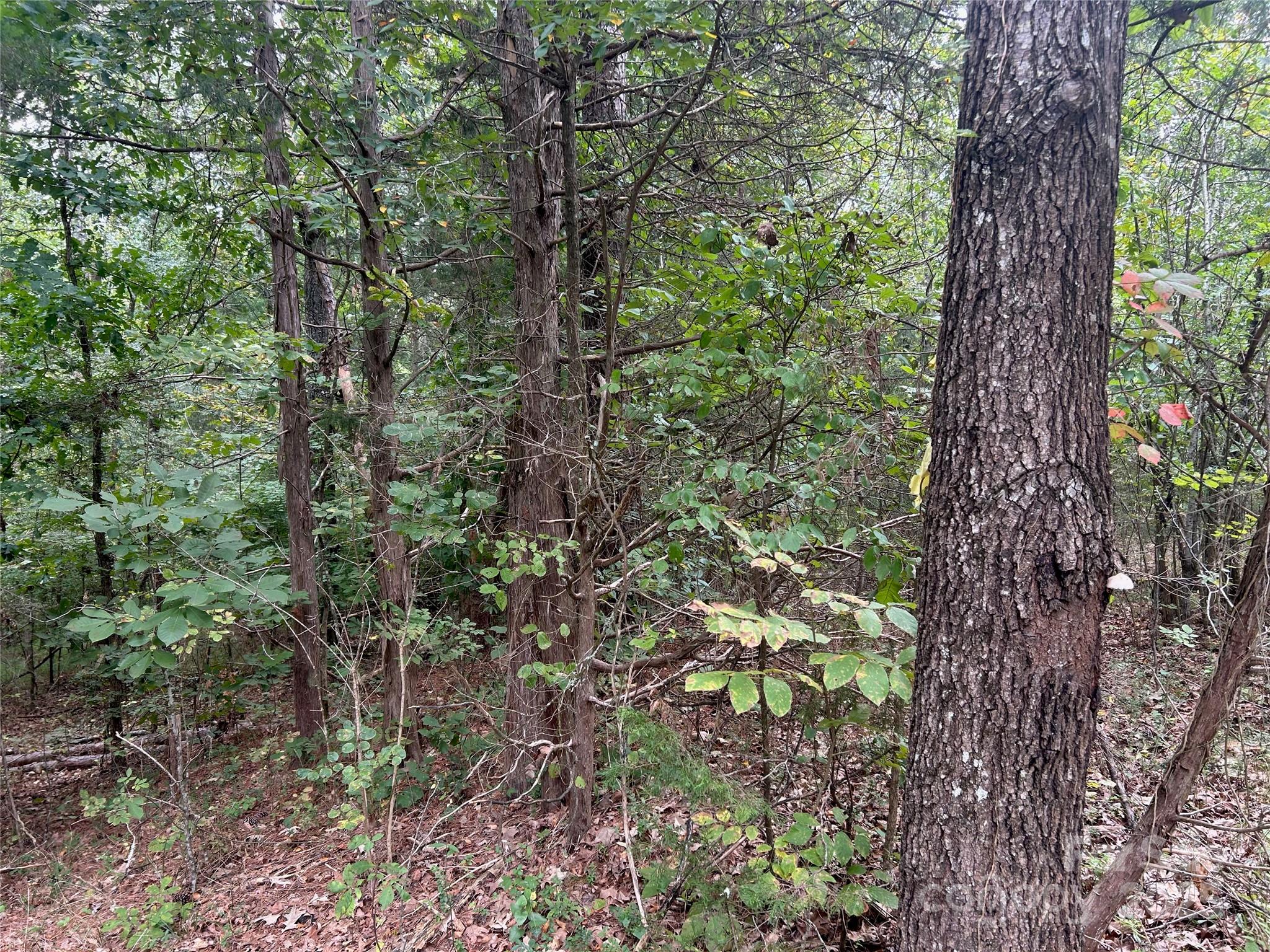 3485 Cedar Circle Road — Lancaster