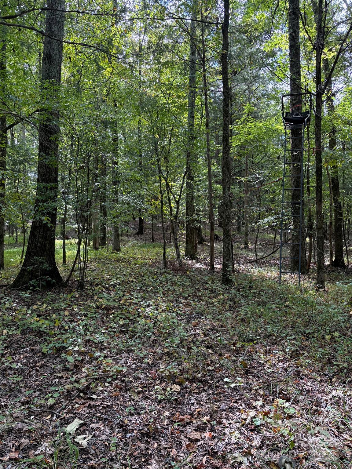 3485 Cedar Circle Road — Lancaster