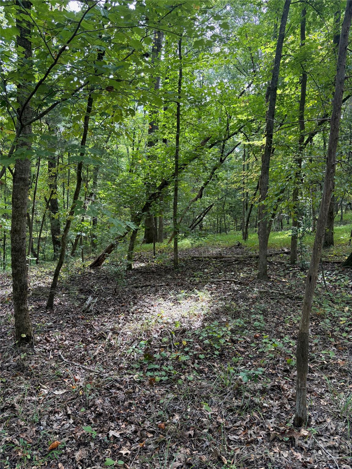 3485 Cedar Circle Road — Lancaster
