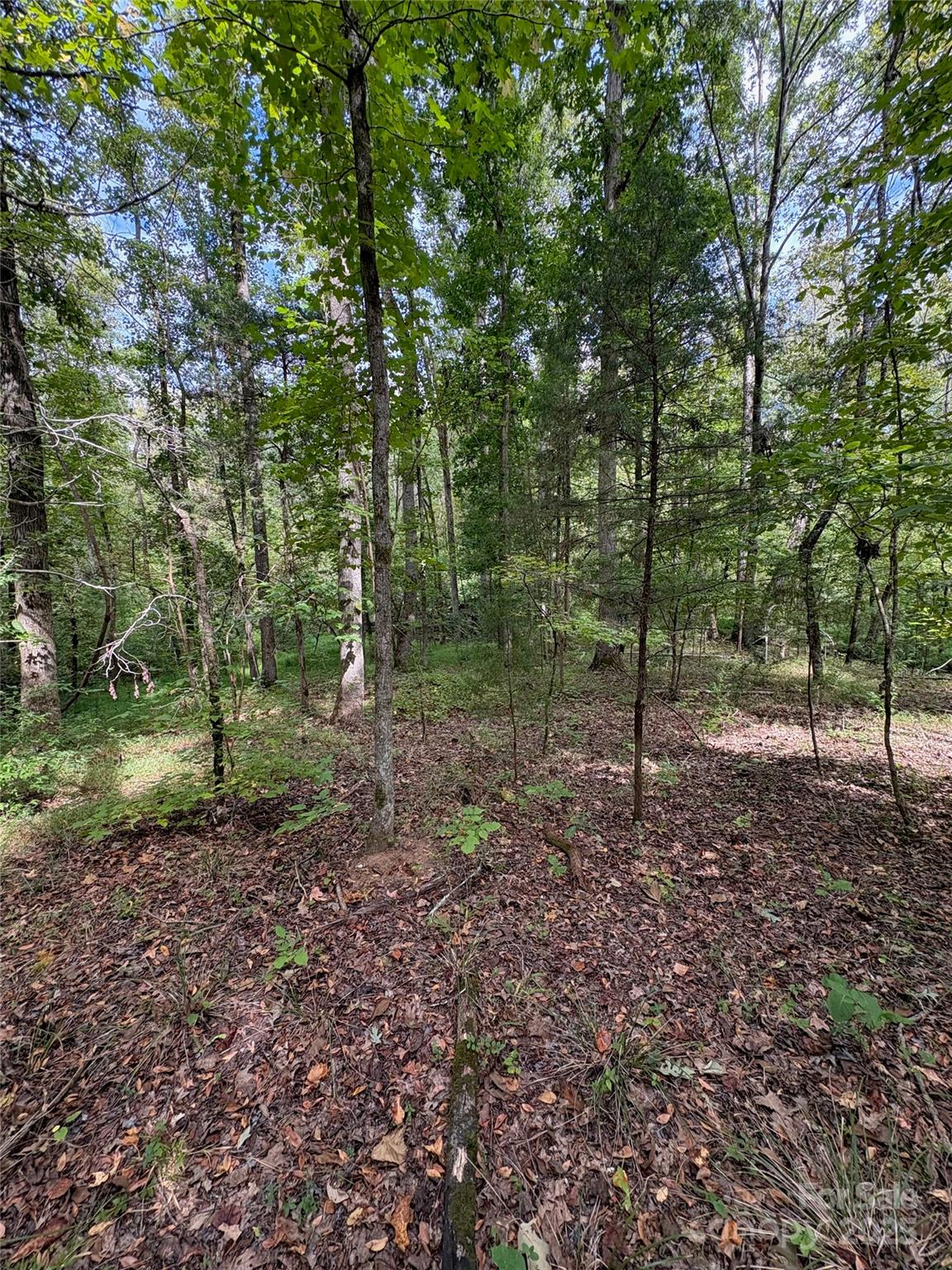 3485 Cedar Circle Road — Lancaster