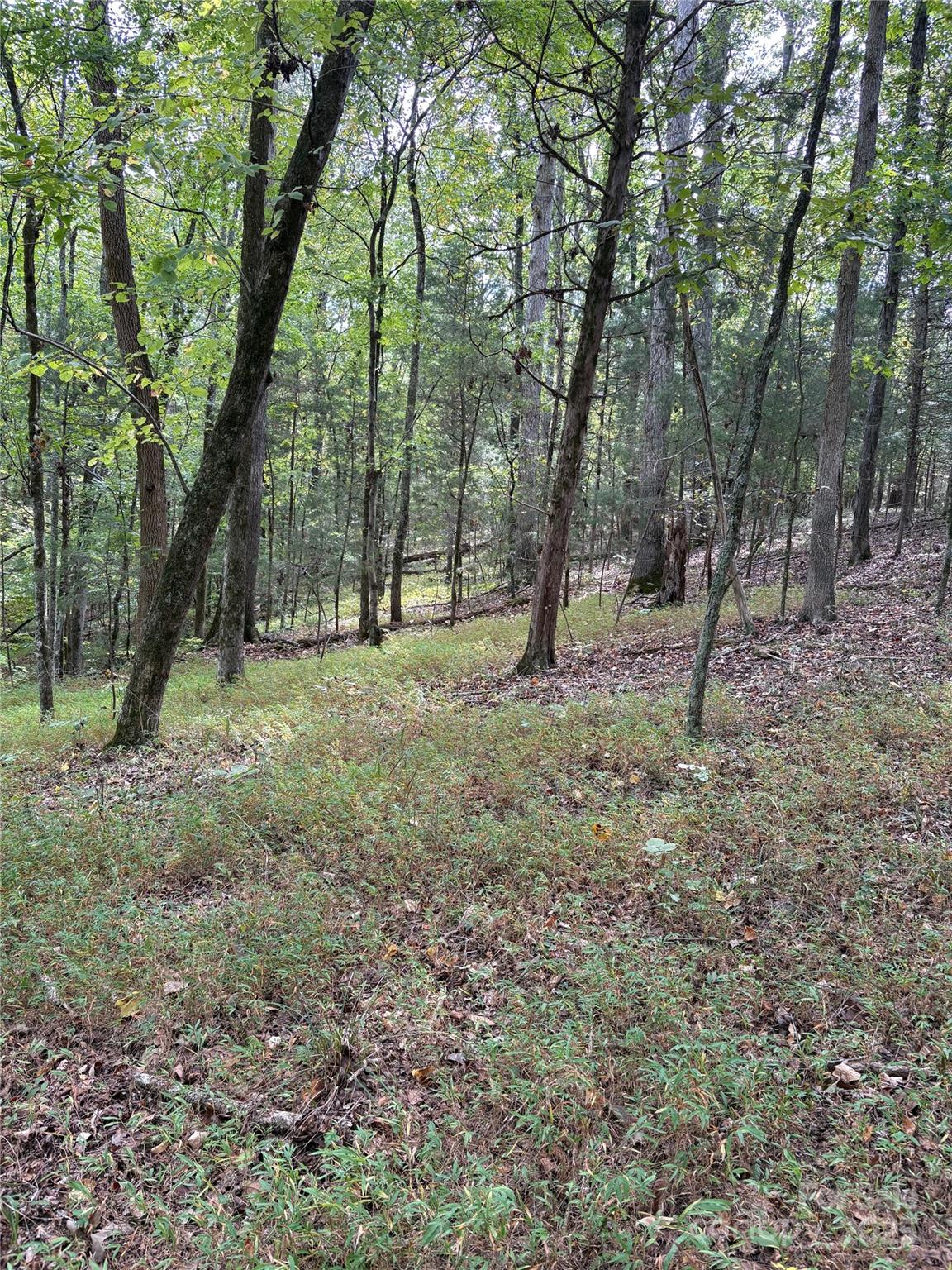 3485 Cedar Circle Road — Lancaster