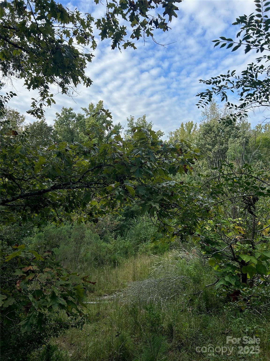 3485 Cedar Circle Road — Lancaster