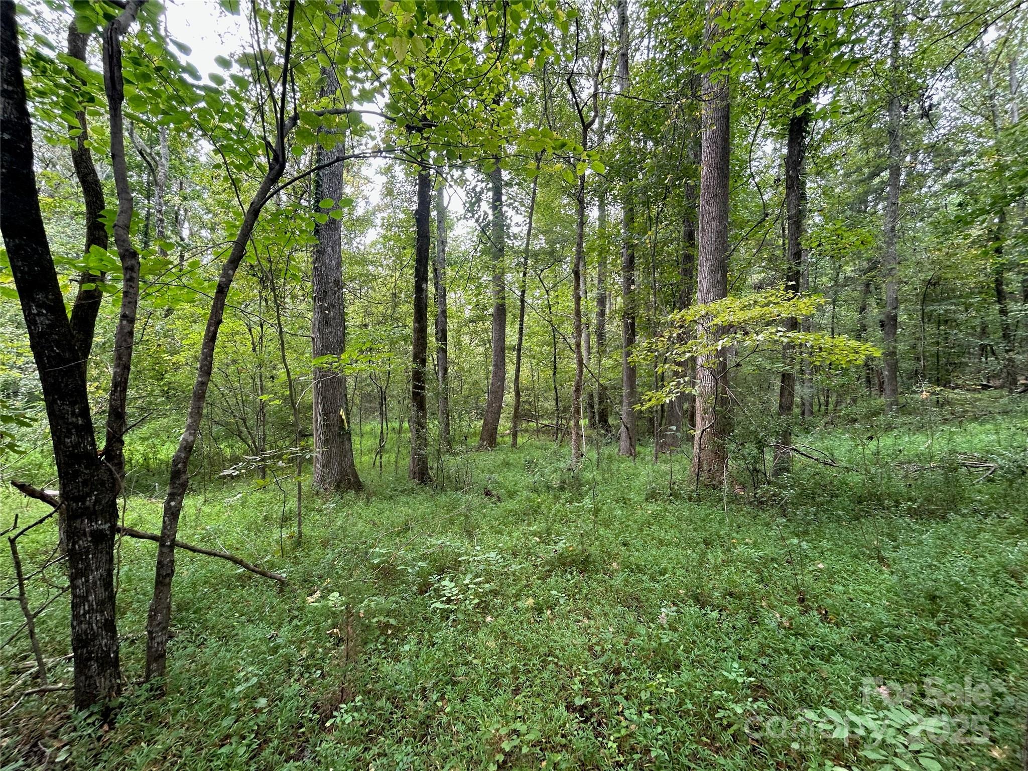 3485 Cedar Circle Road — Lancaster