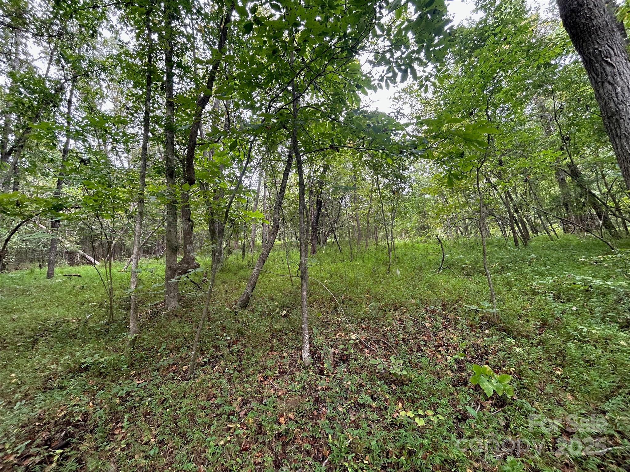 3485 Cedar Circle Road — Lancaster