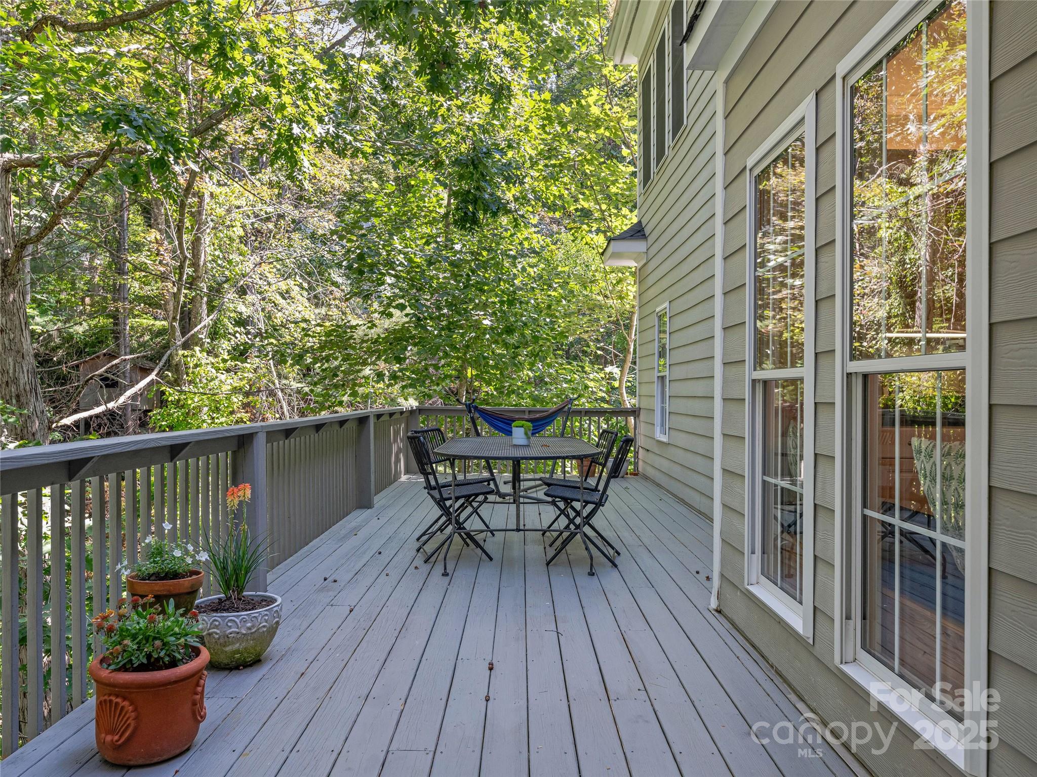 113 Ballantree Drive — Asheville