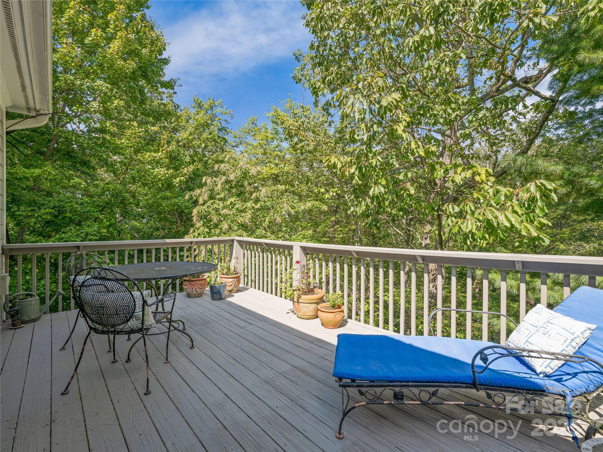 113 Ballantree Drive — Asheville