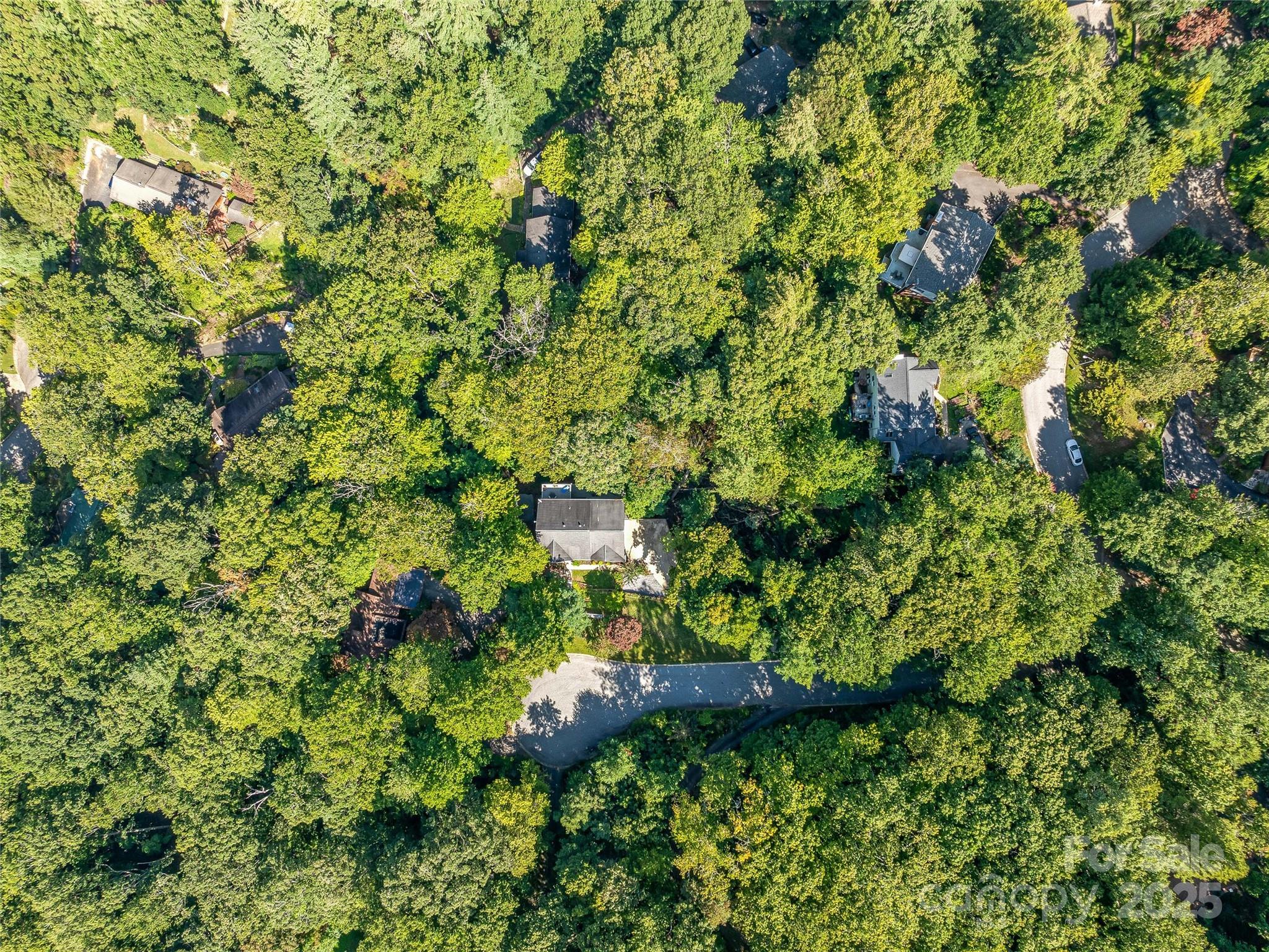 113 Ballantree Drive — Asheville