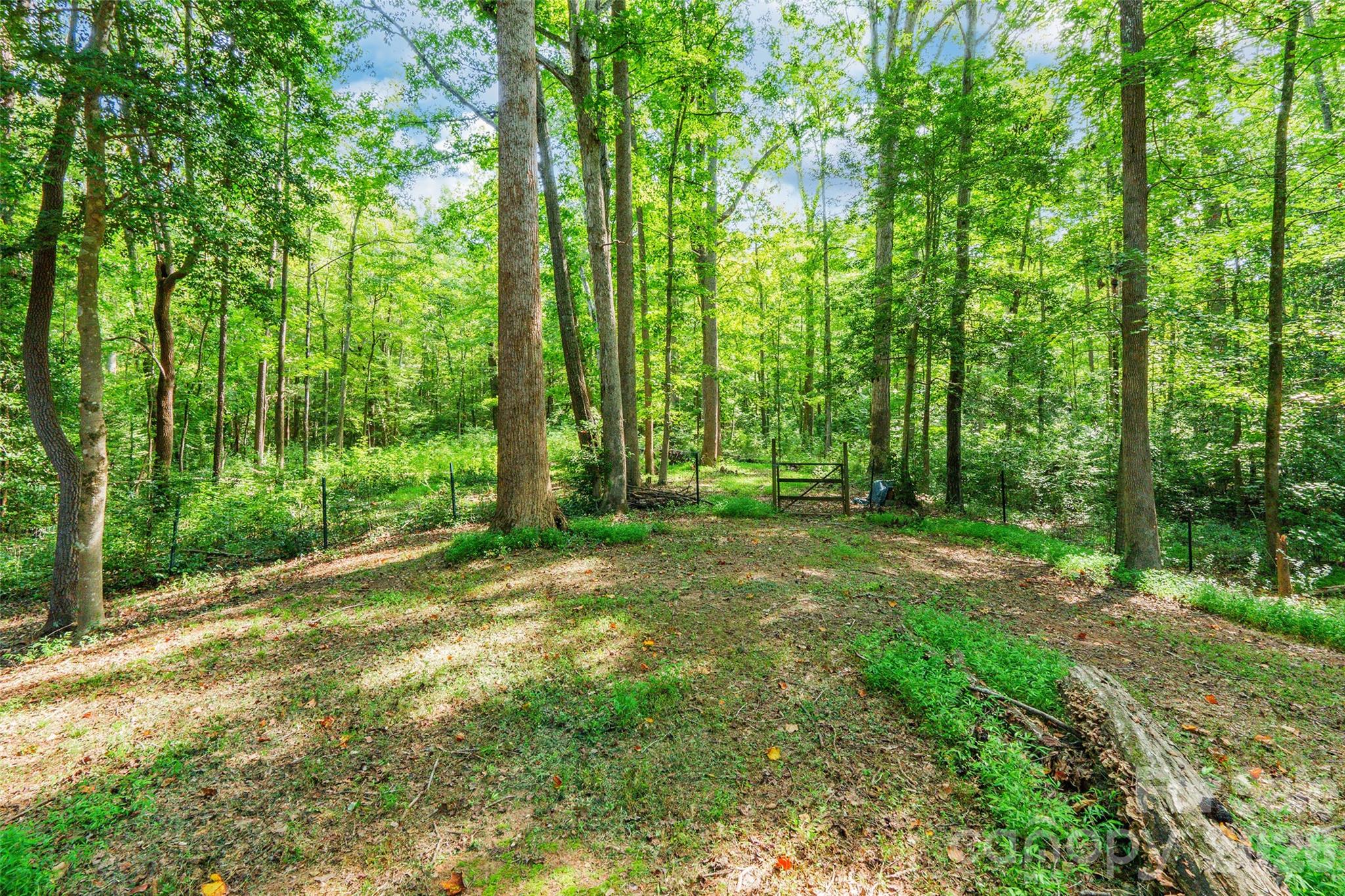 321 Forbes Court — Clover