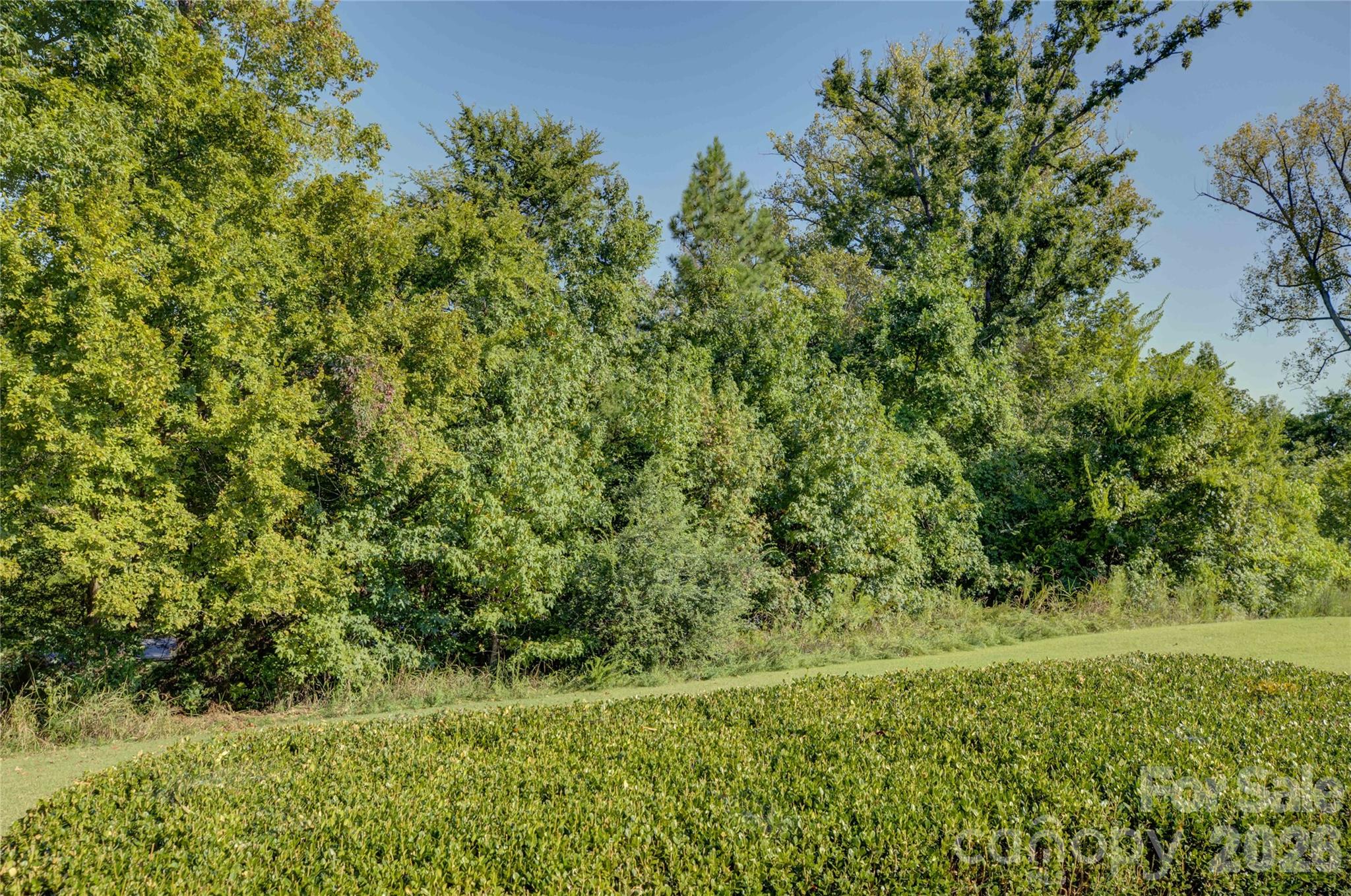 11743 Stockdale Court — Pineville