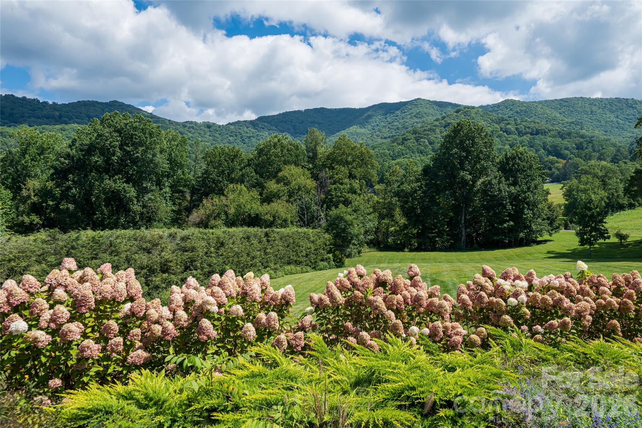 208 Parrish Farm Road — Waynesville