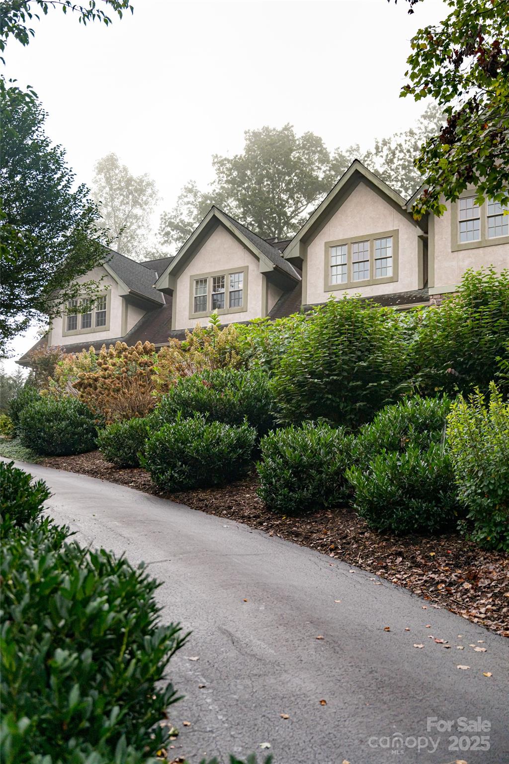 53 Cedar Hill Drive — Asheville
