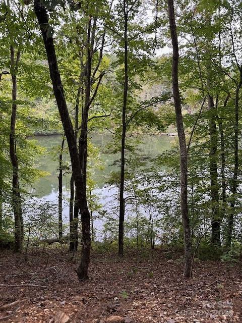 106 Lake Terrace Drive — Nebo
