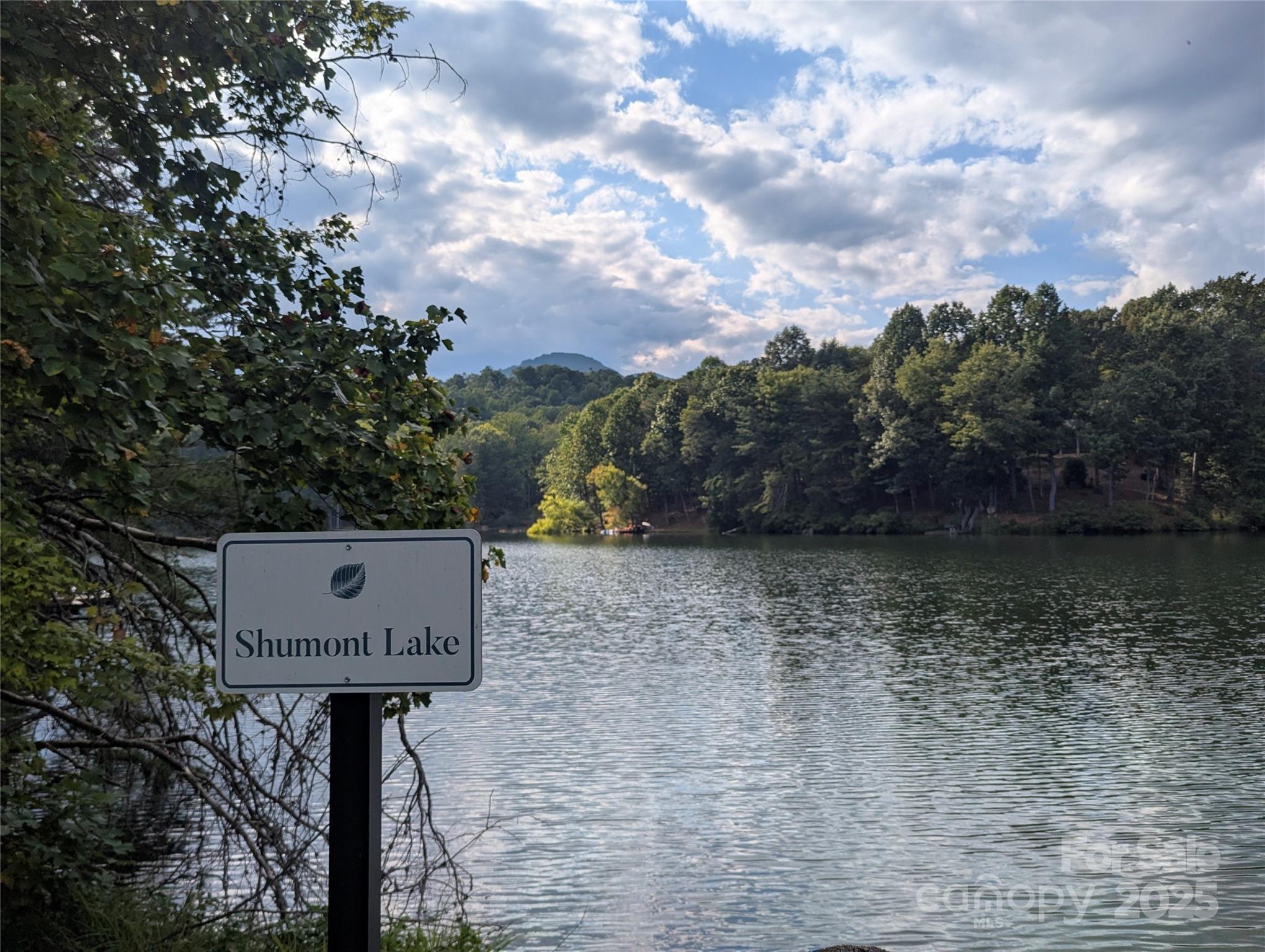 110 Lakewood Drive — Lake Lure
