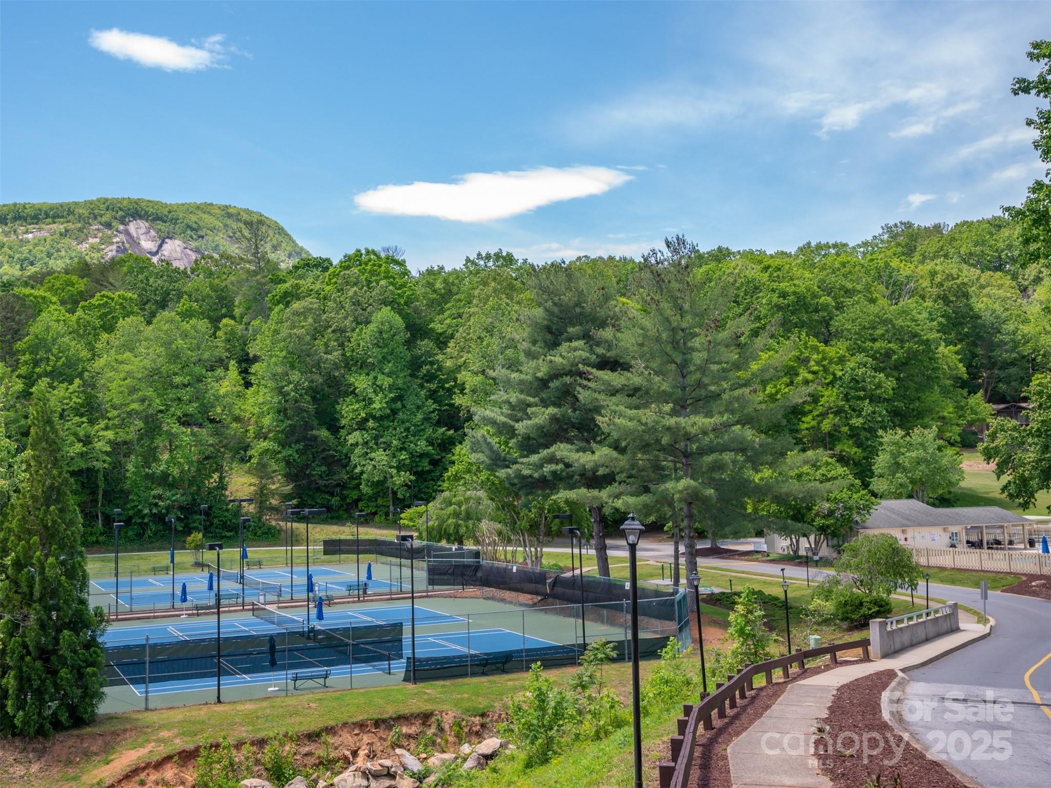110 Lakewood Drive — Lake Lure