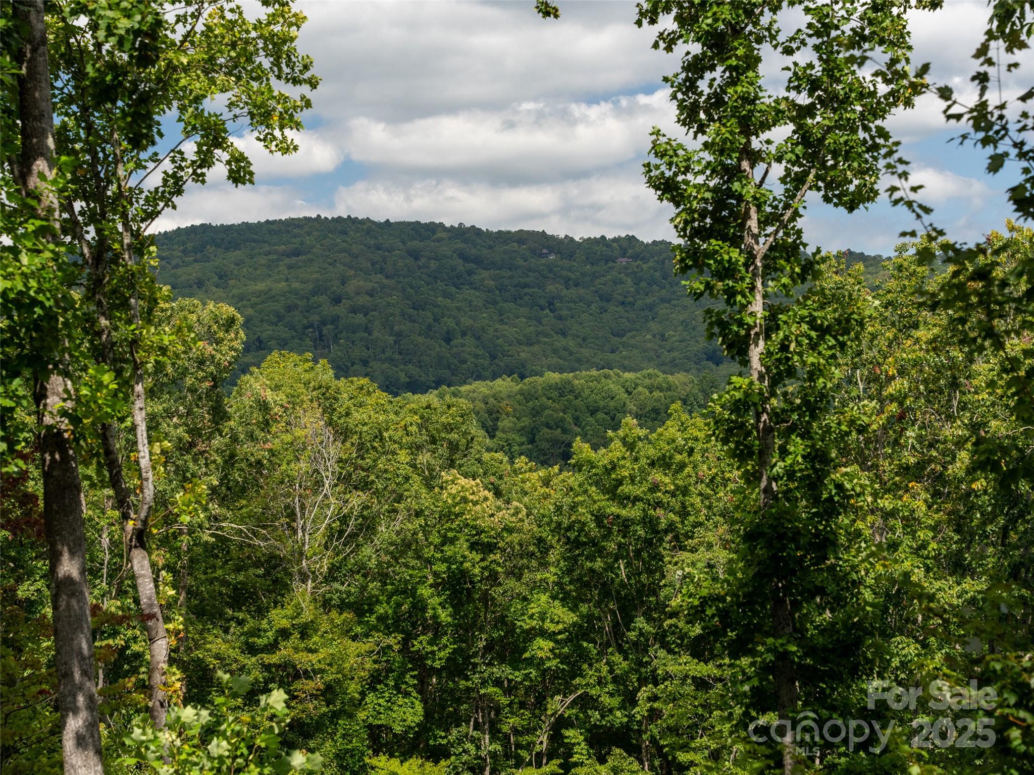 21 Windcliff Drive — Asheville