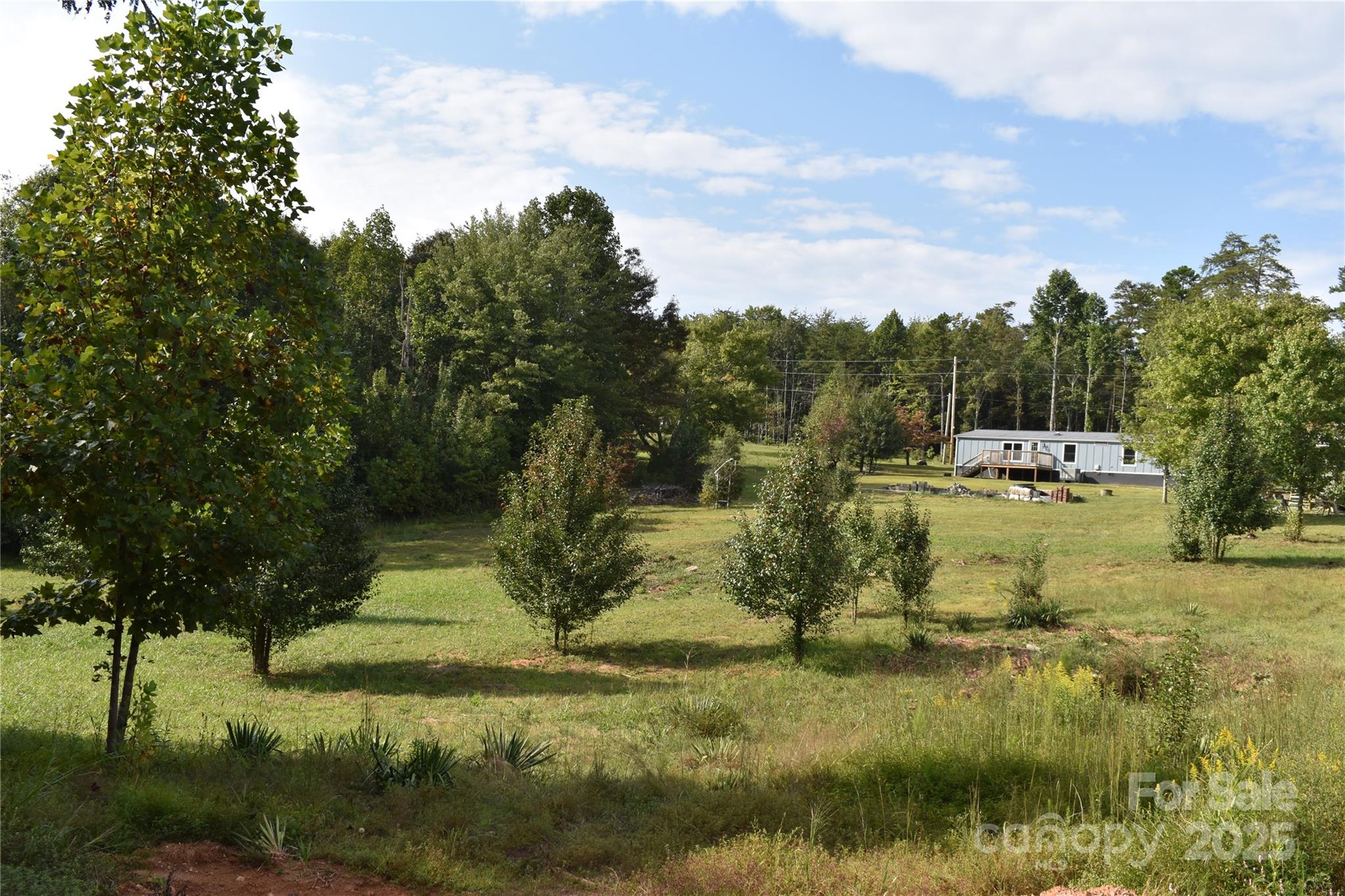 91 Sweet Gum Drive — Nebo