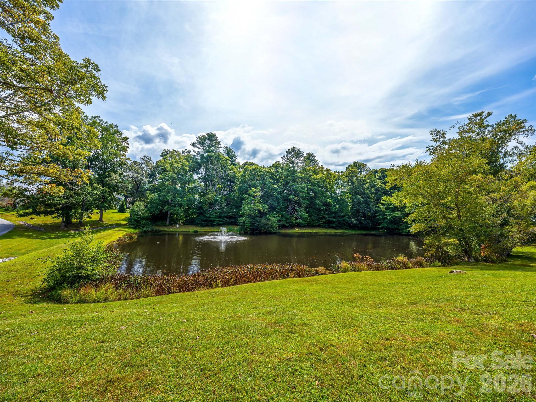 83 Farm Lane — Mills River