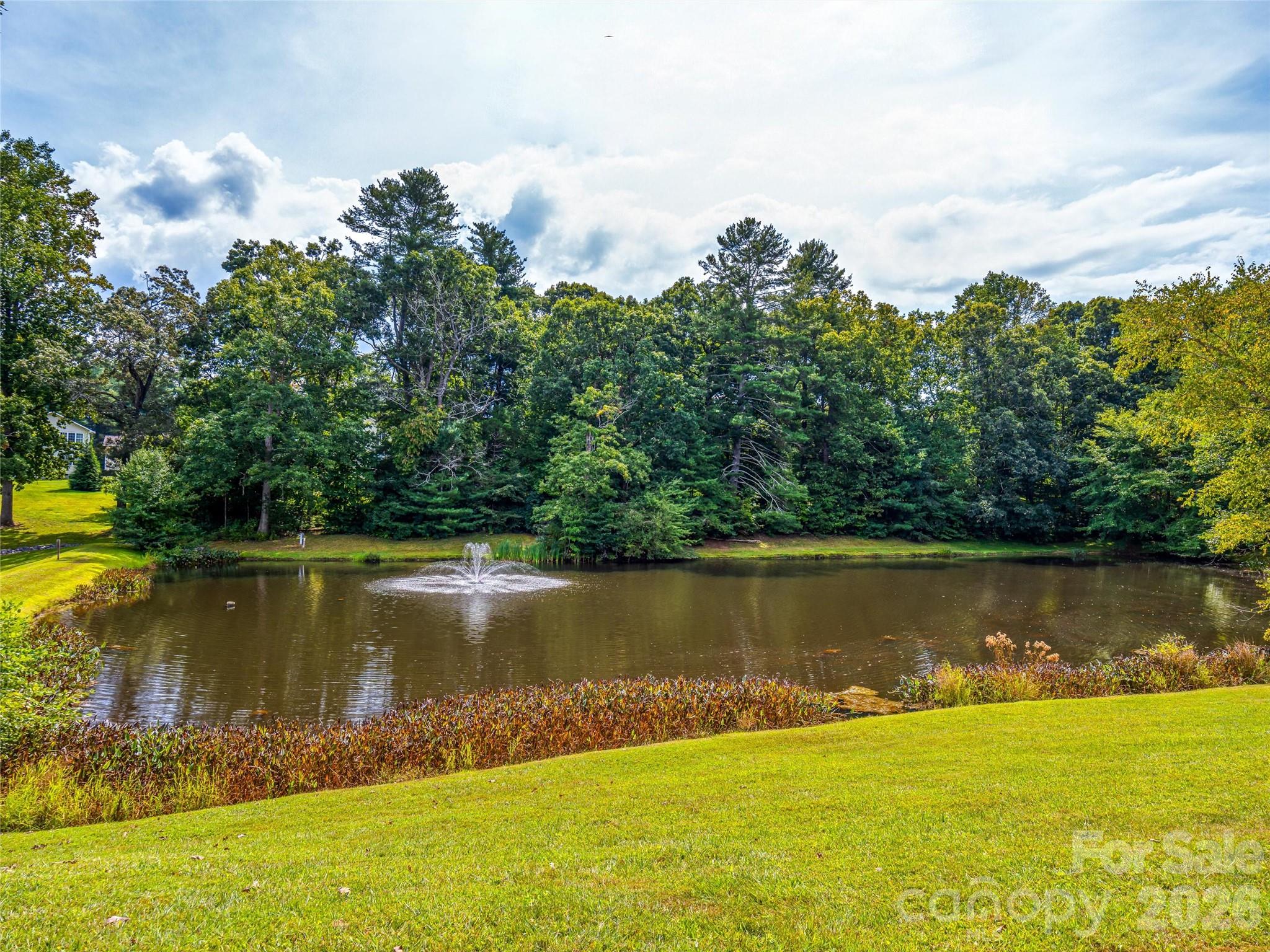83 Farm Lane — Mills River