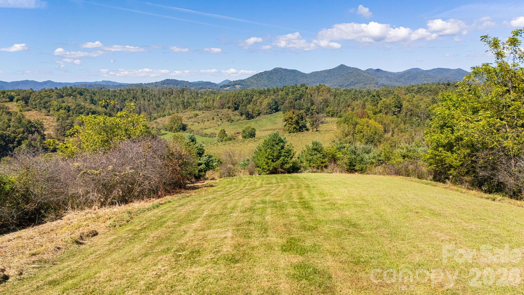 1387 Woods Ammons Road — Mars Hill