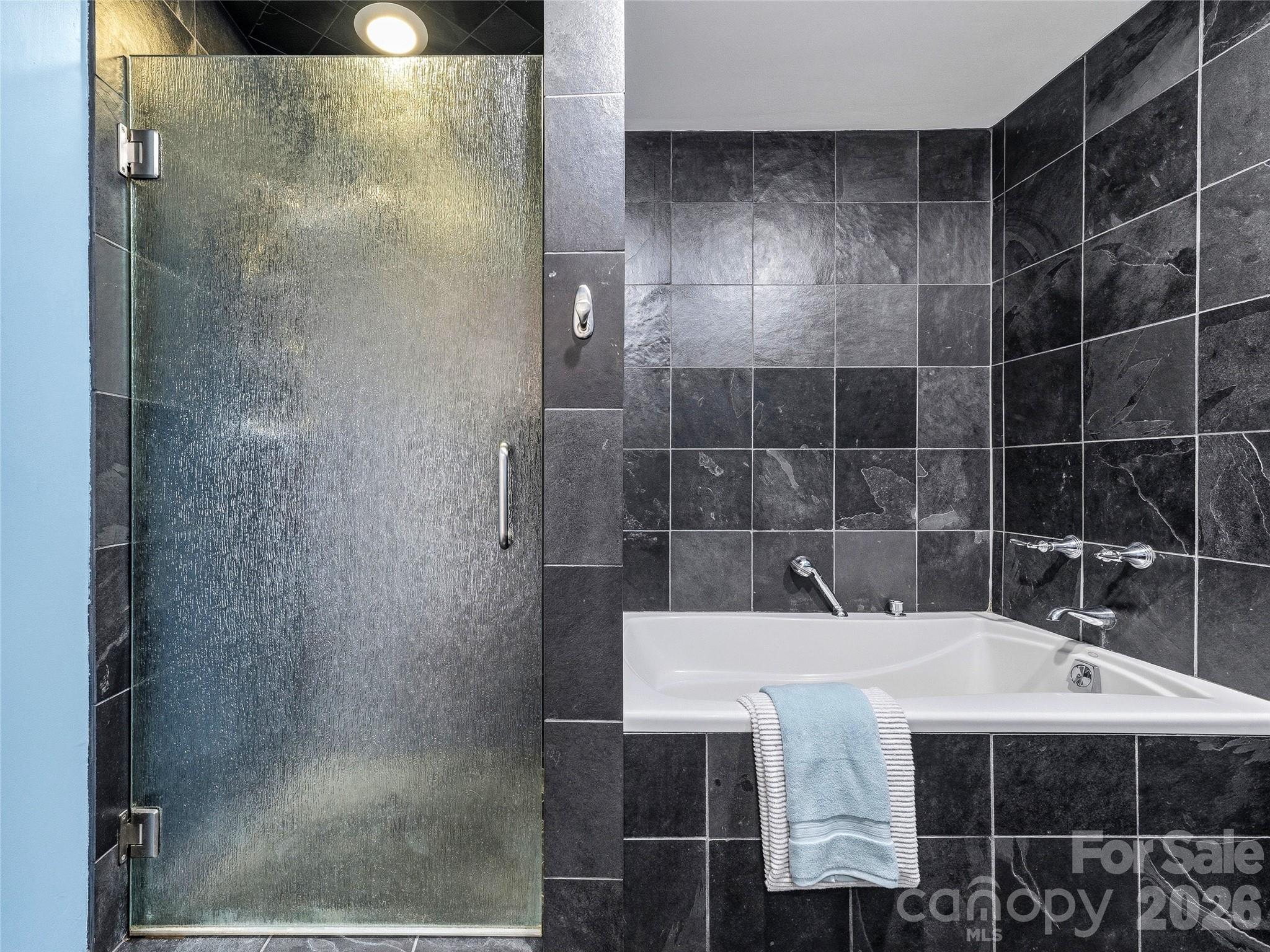 21 Battery Park Avenue #404 — Asheville