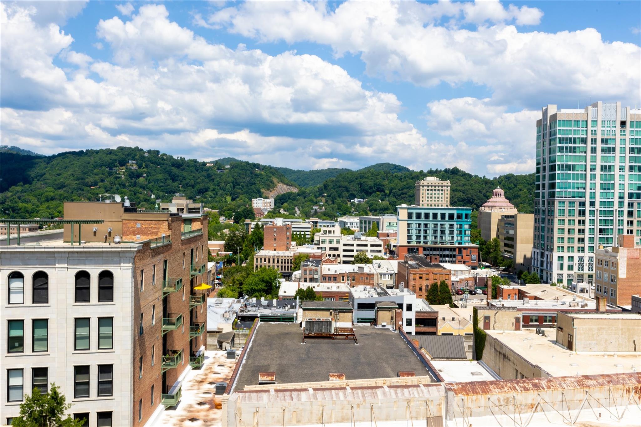 21 Battery Park Avenue #404 — Asheville