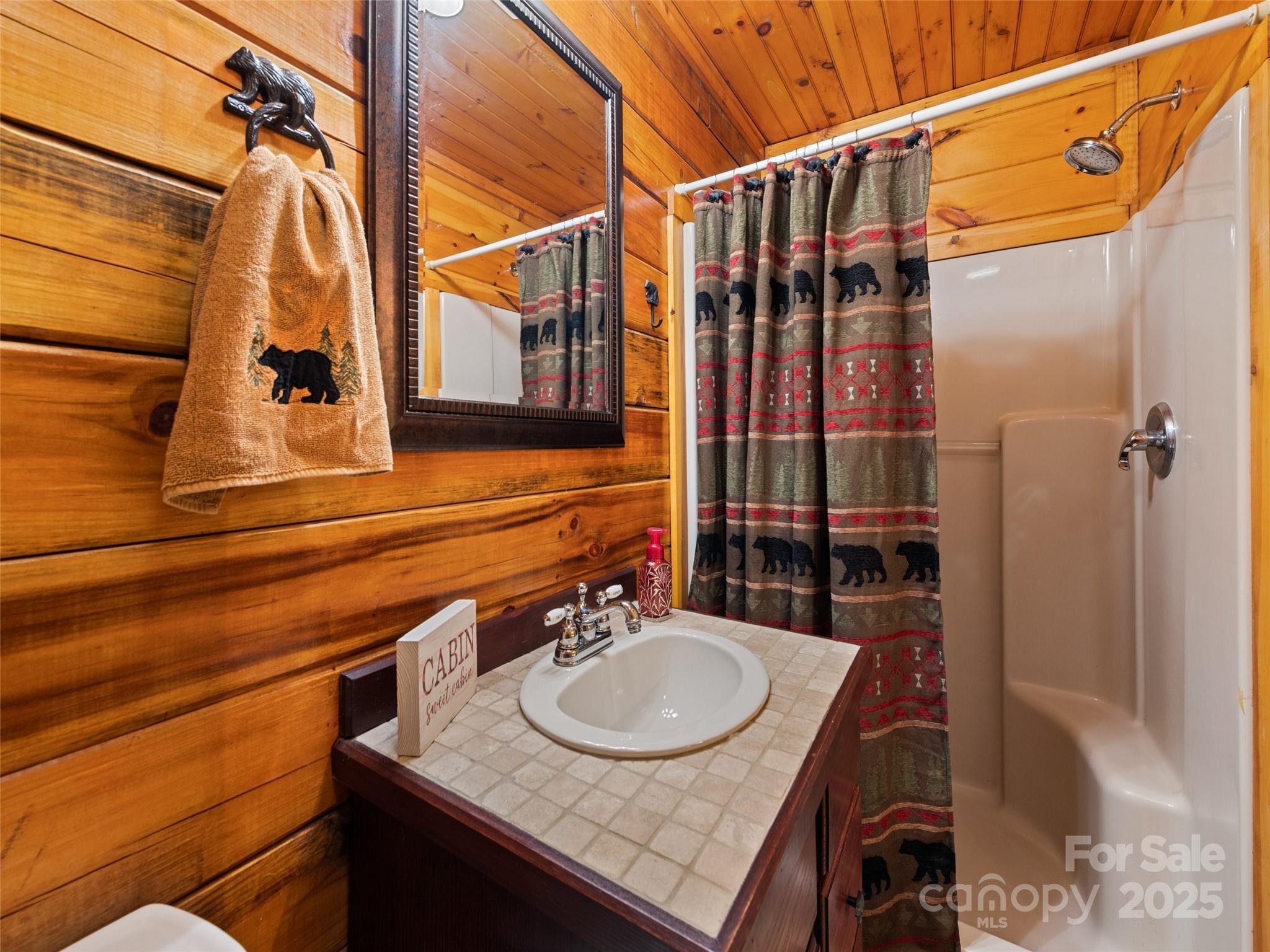 839 Wolf Laurel Drive — Maggie Valley