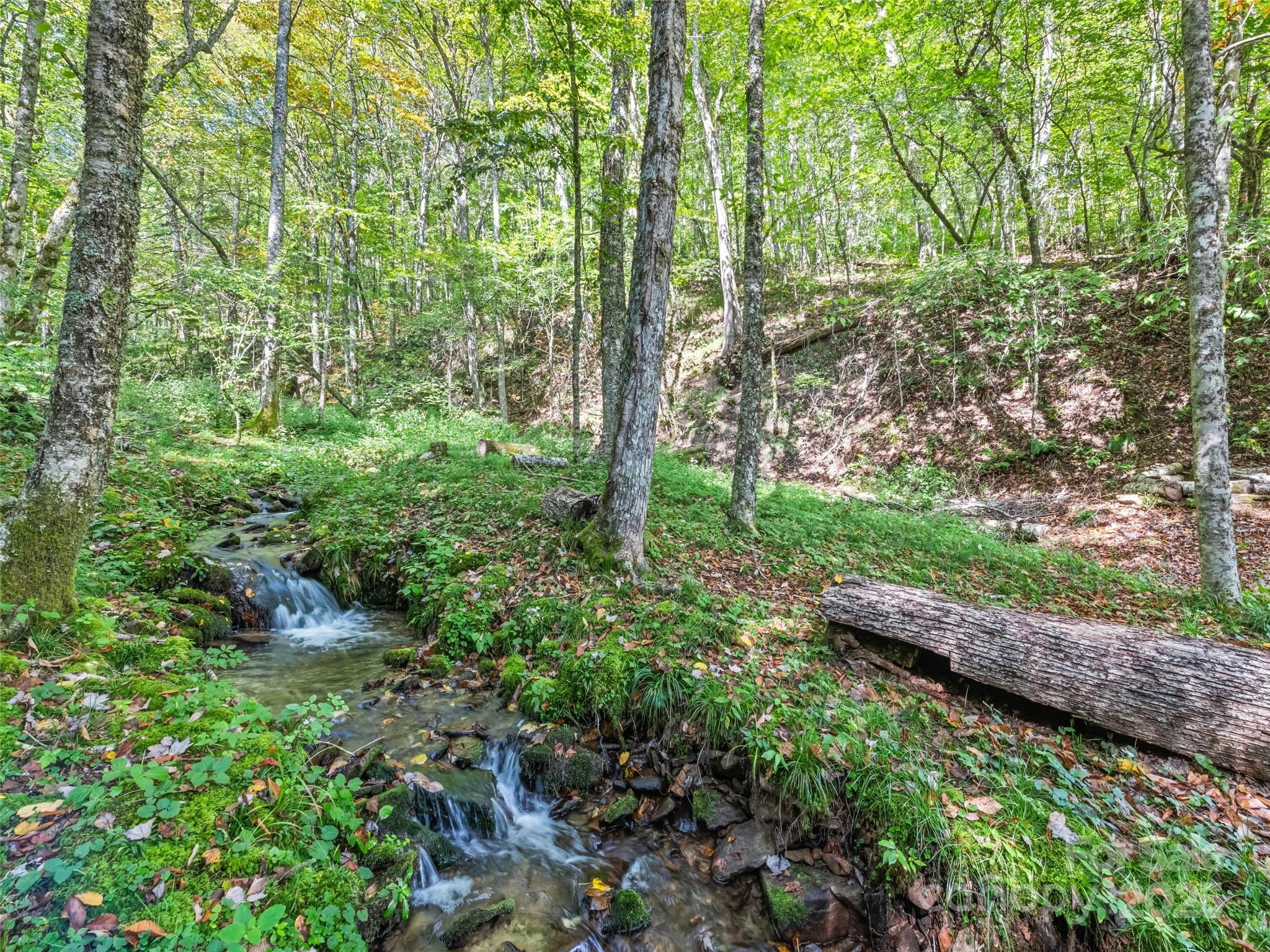 839 Wolf Laurel Drive — Maggie Valley