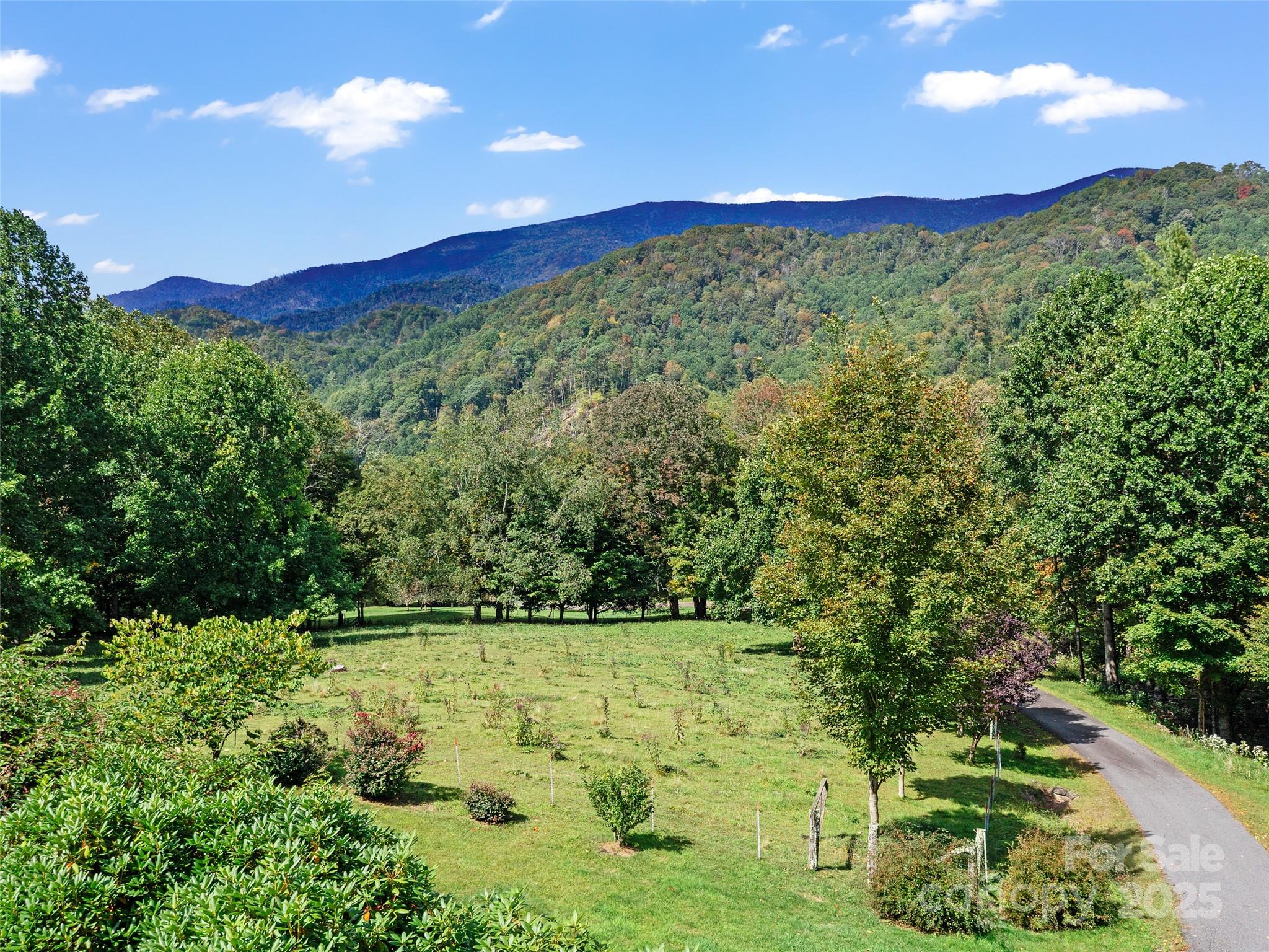 1992 Green Creek Road — Bakersville
