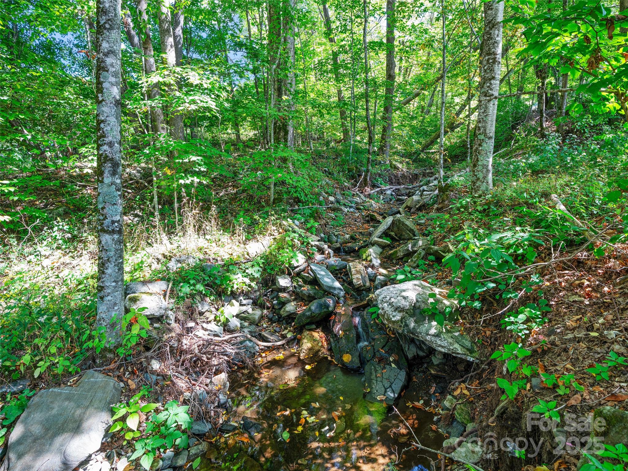 1992 Green Creek Road — Bakersville