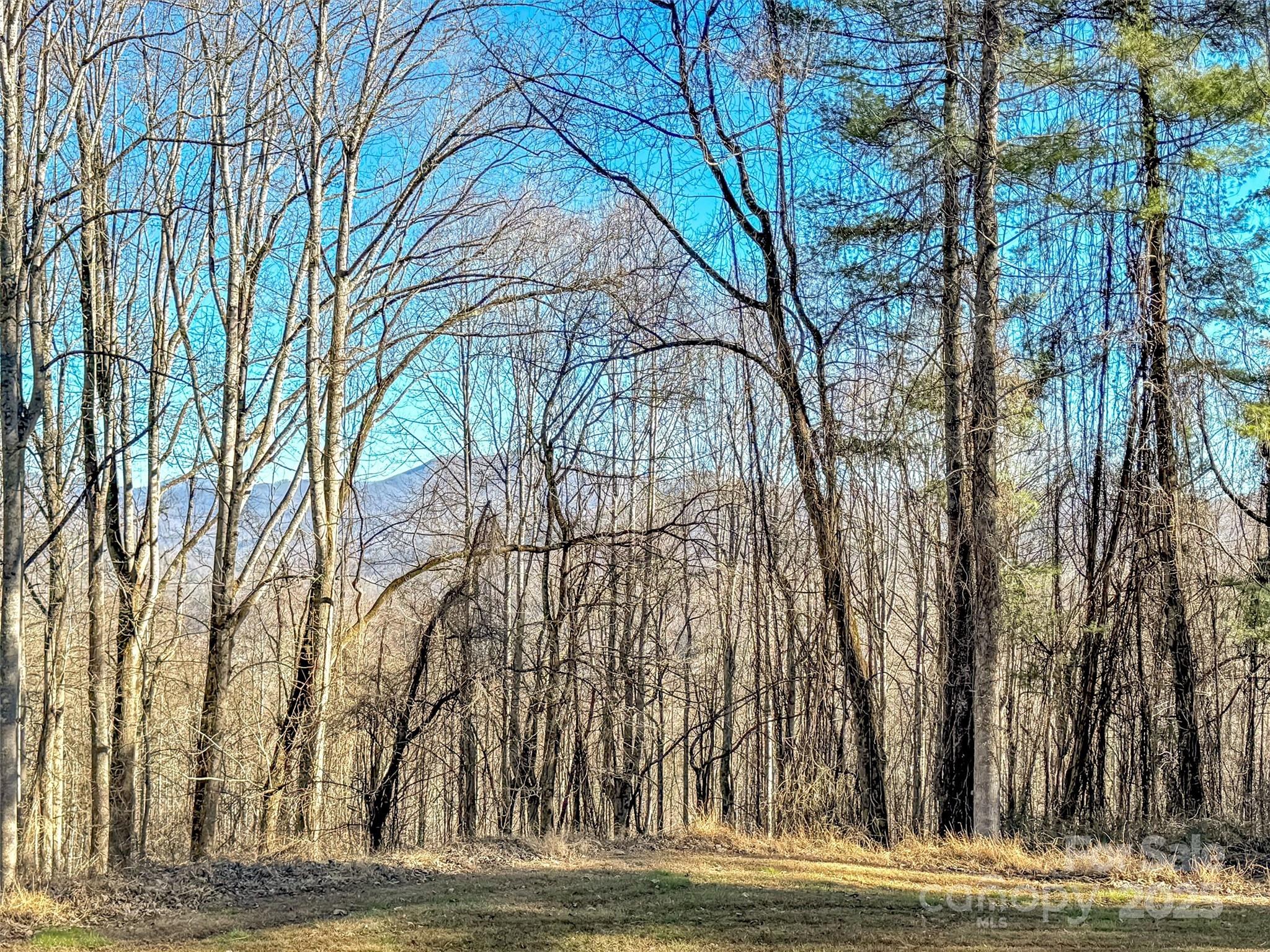 284 Cutting Edge Drive — Sylva
