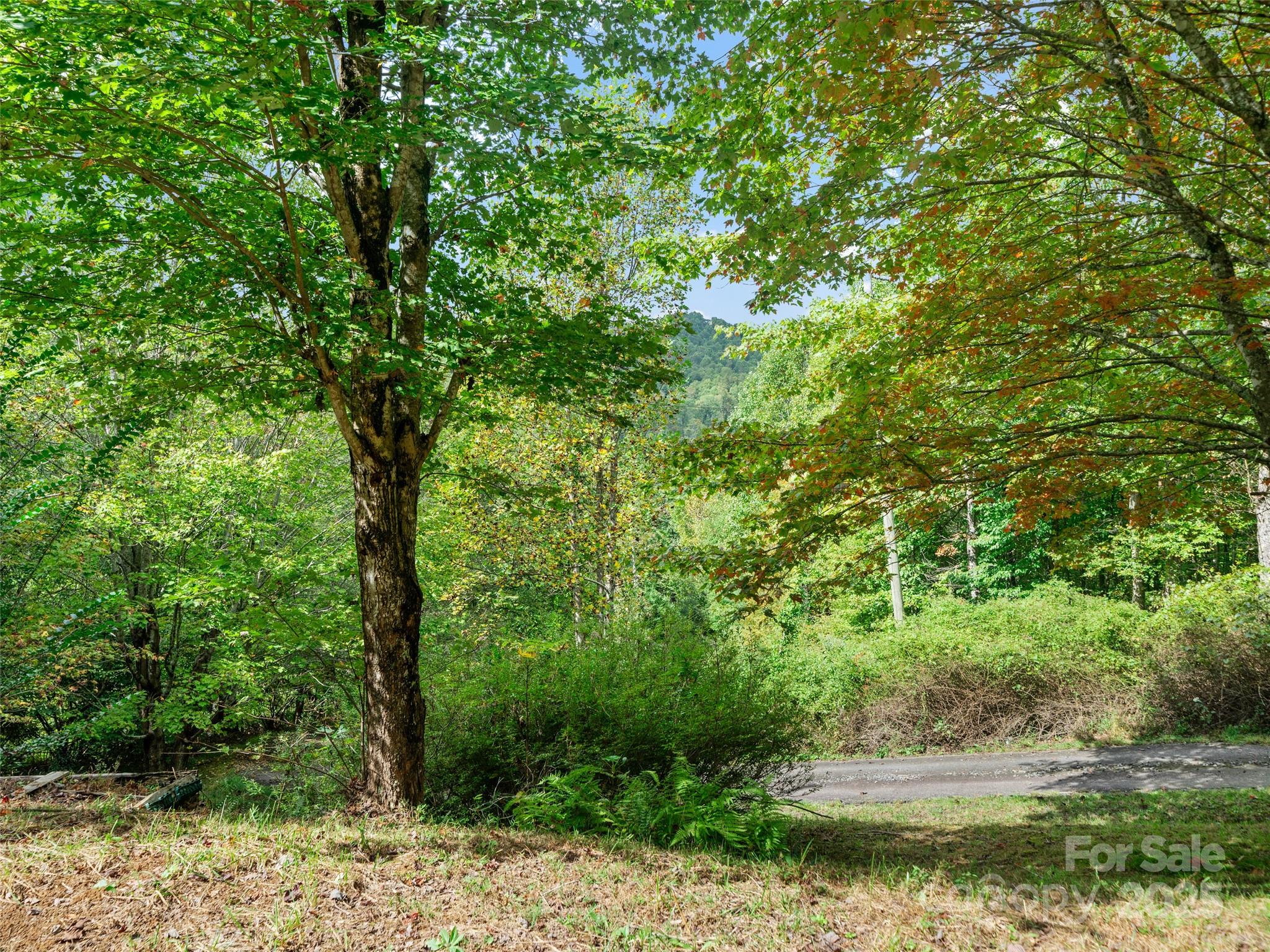 158 Dover Lane — Spruce Pine