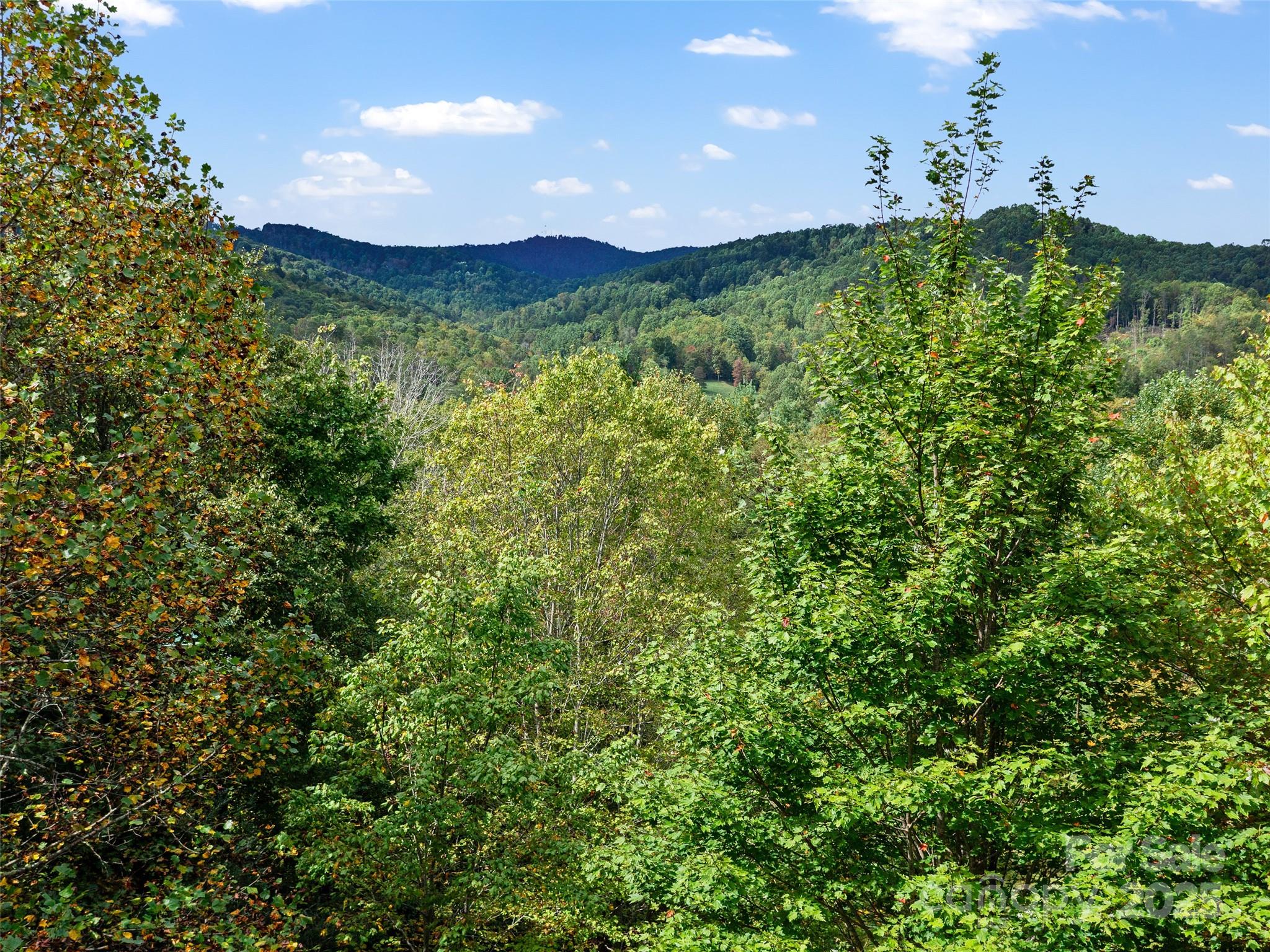 158 Dover Lane — Spruce Pine