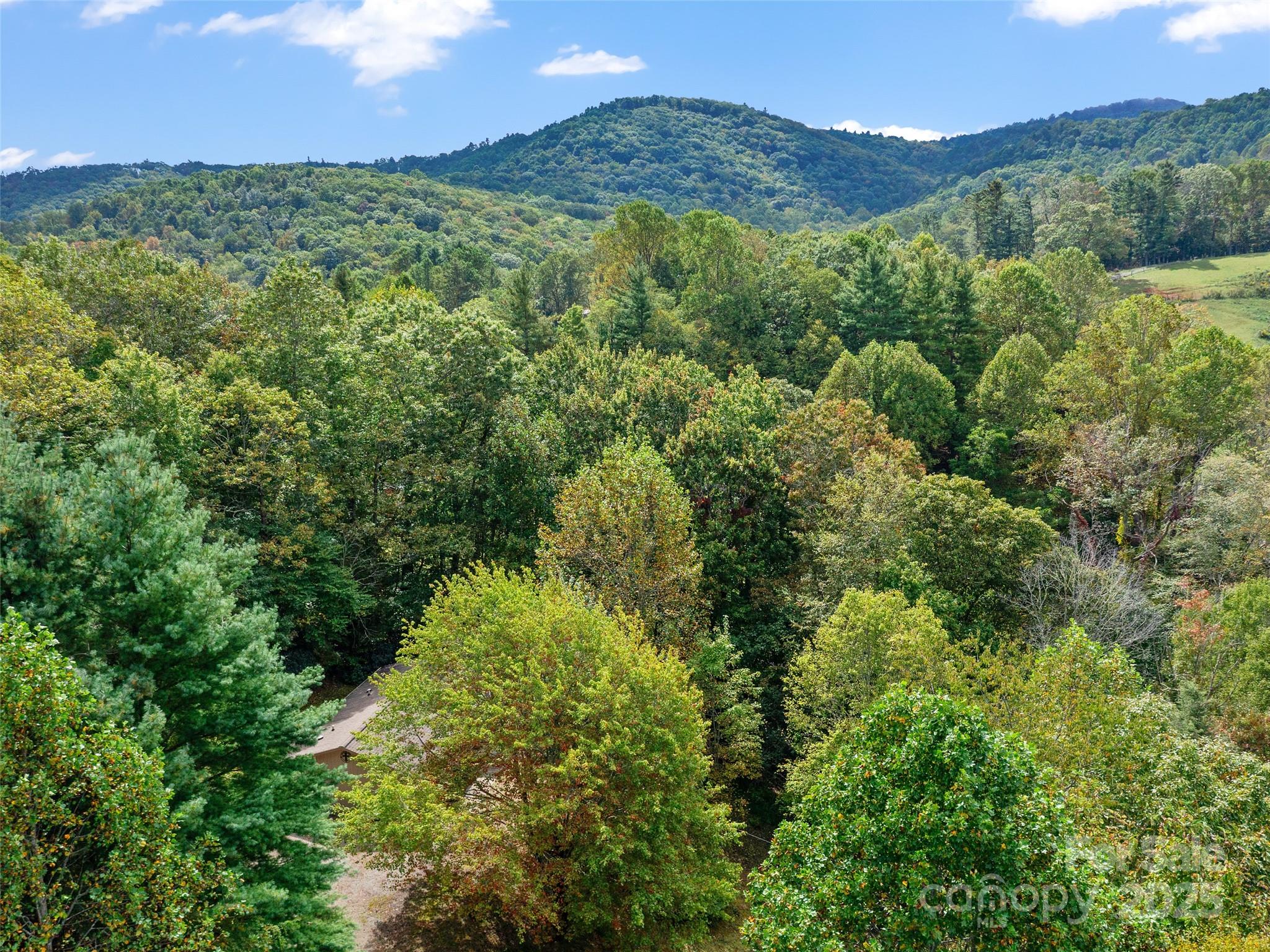 158 Dover Lane — Spruce Pine