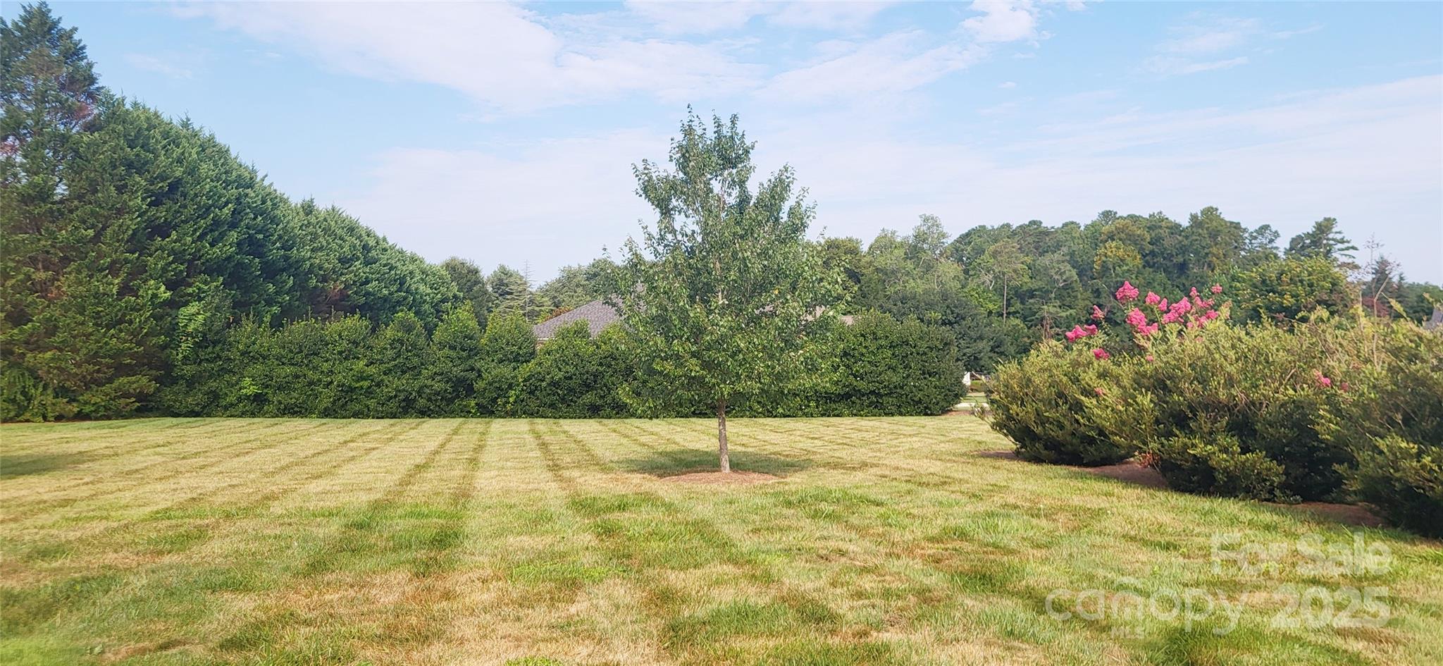 153 Caudle Meadows Drive — Advance
