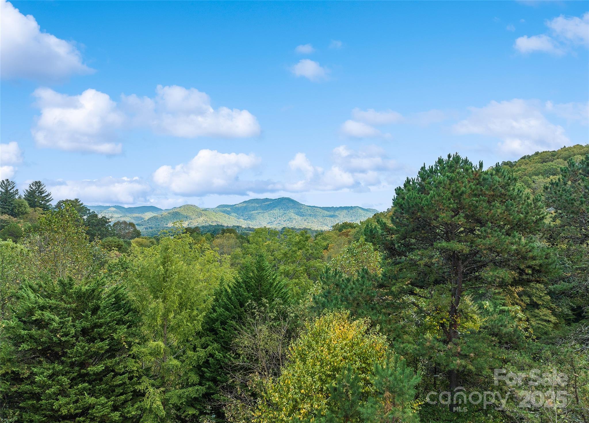966 Coyote Hollow Road — Waynesville