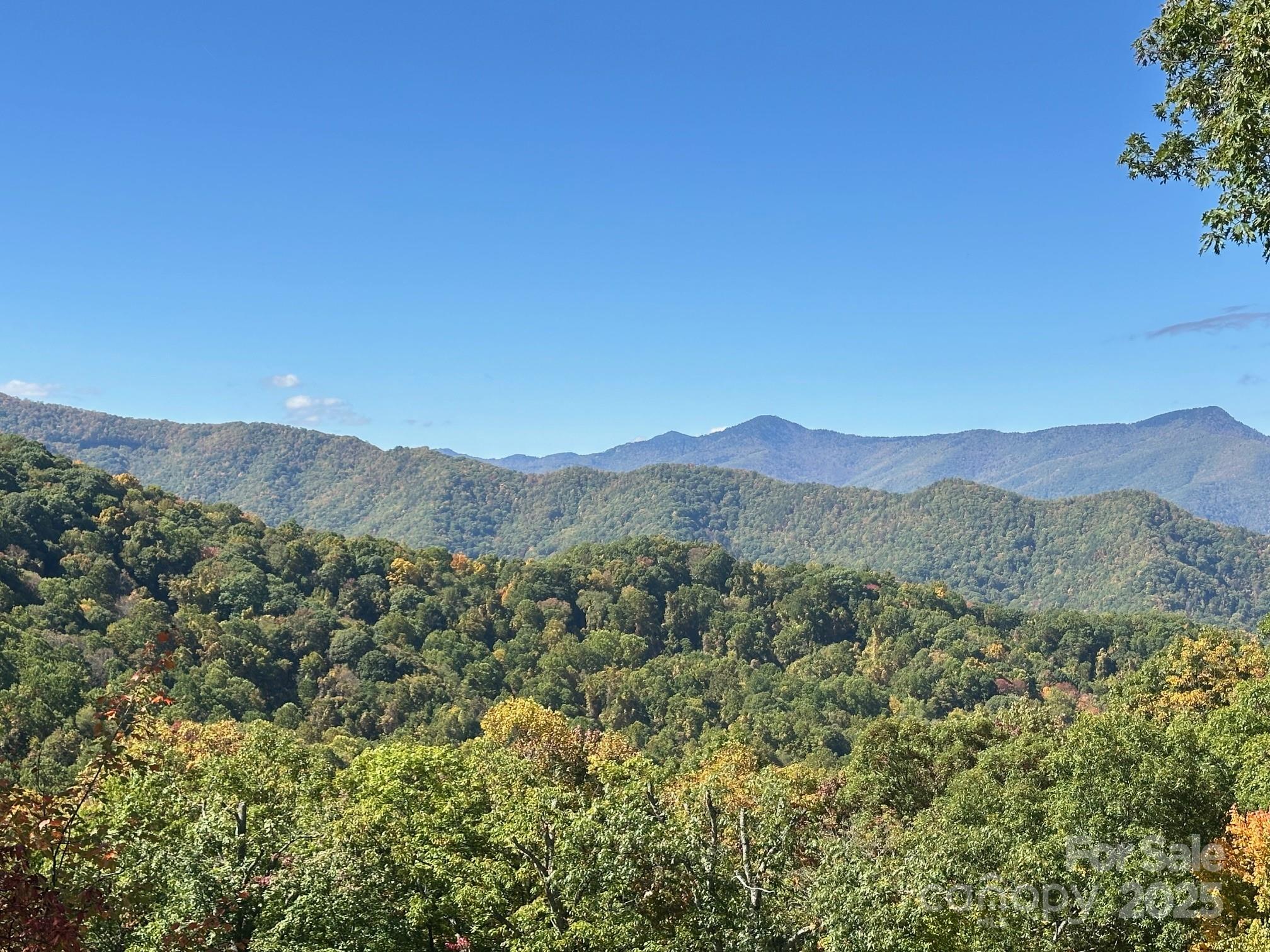 551 Macallan Drive — Waynesville