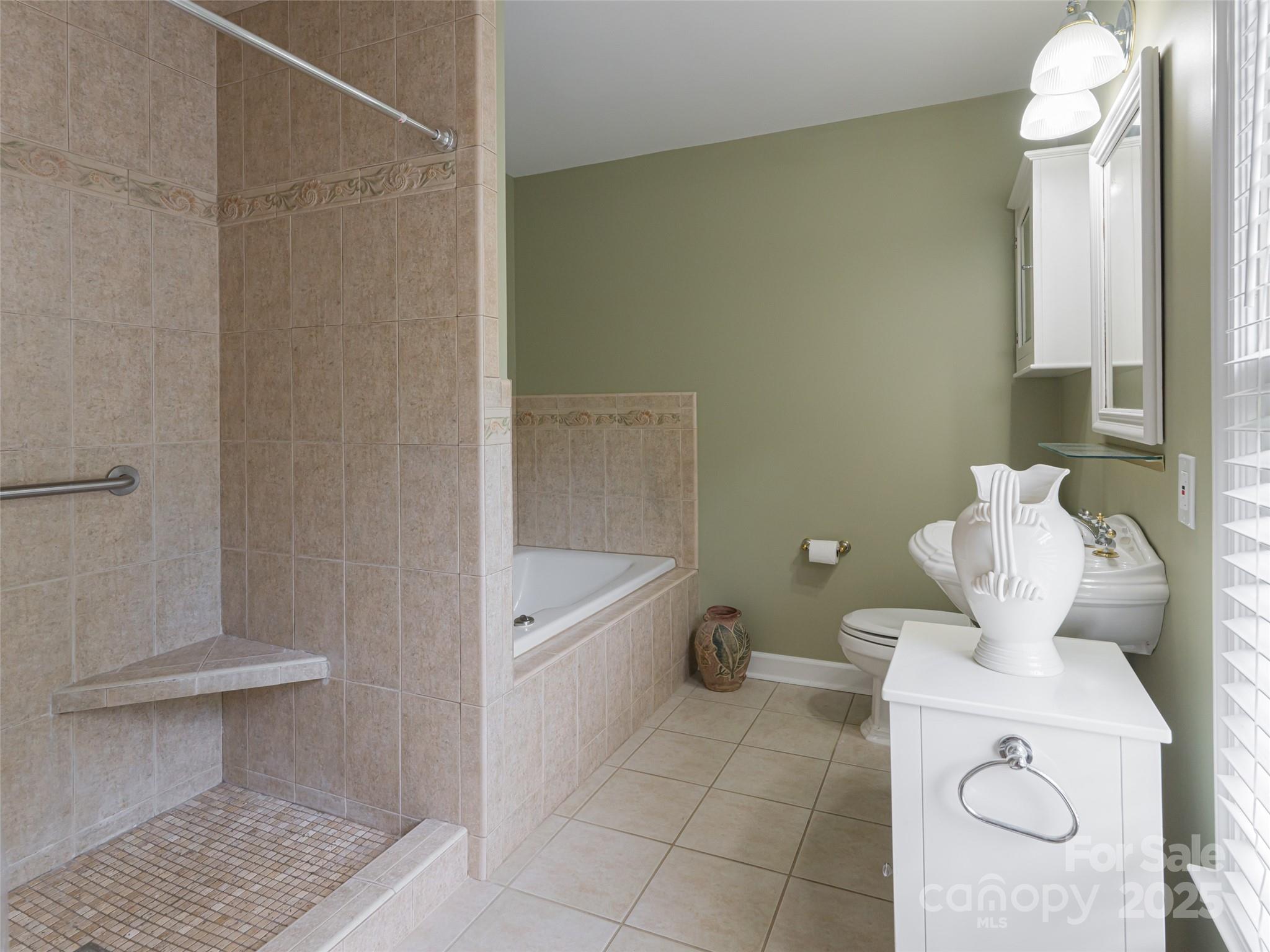 91 Carter Cove Road — Asheville