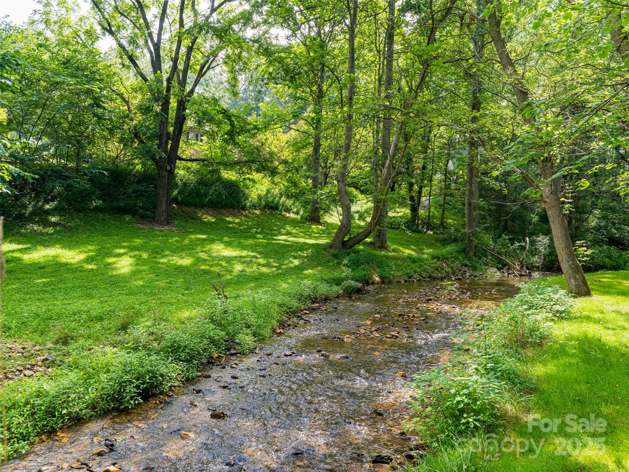 91 Carter Cove Road — Asheville