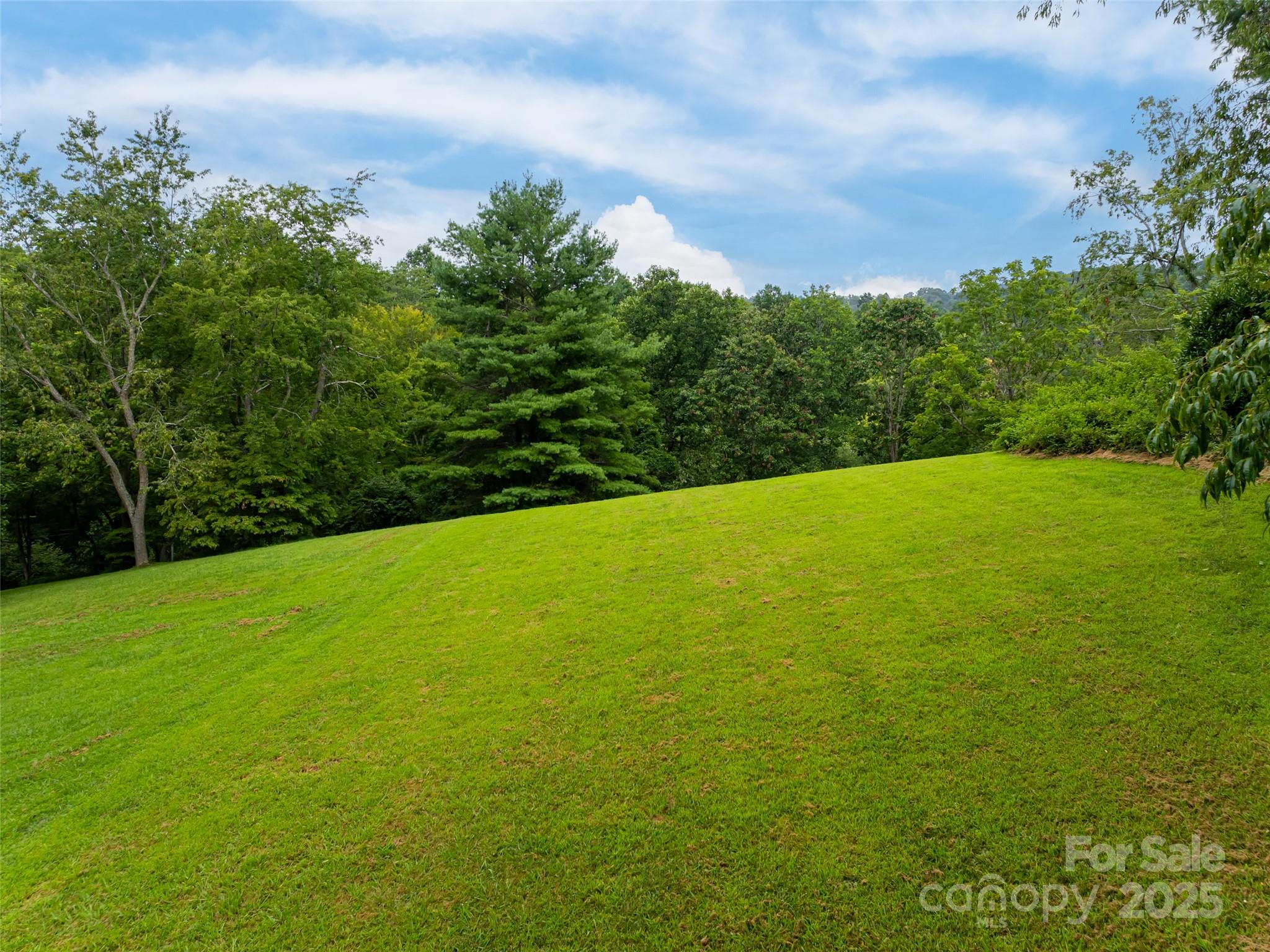 91 Carter Cove Road — Asheville