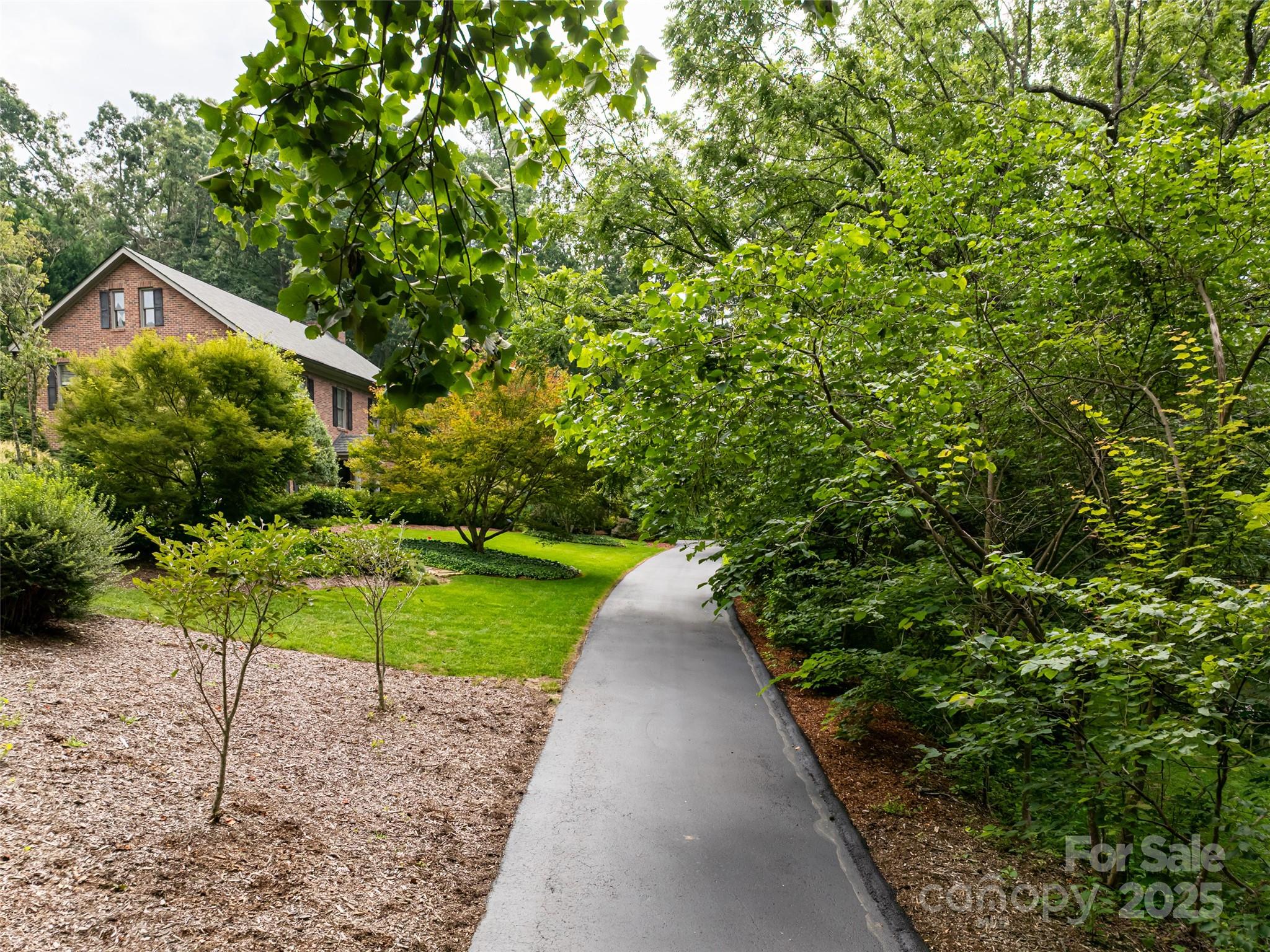 91 Carter Cove Road — Asheville