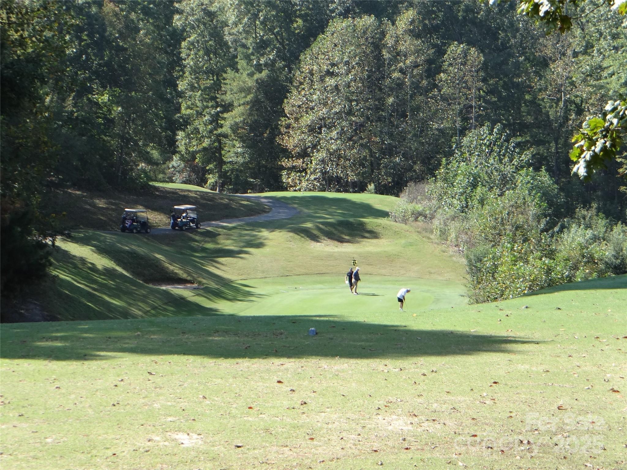 316 Players Ridge Road #lot 18 & 17 — Hickory