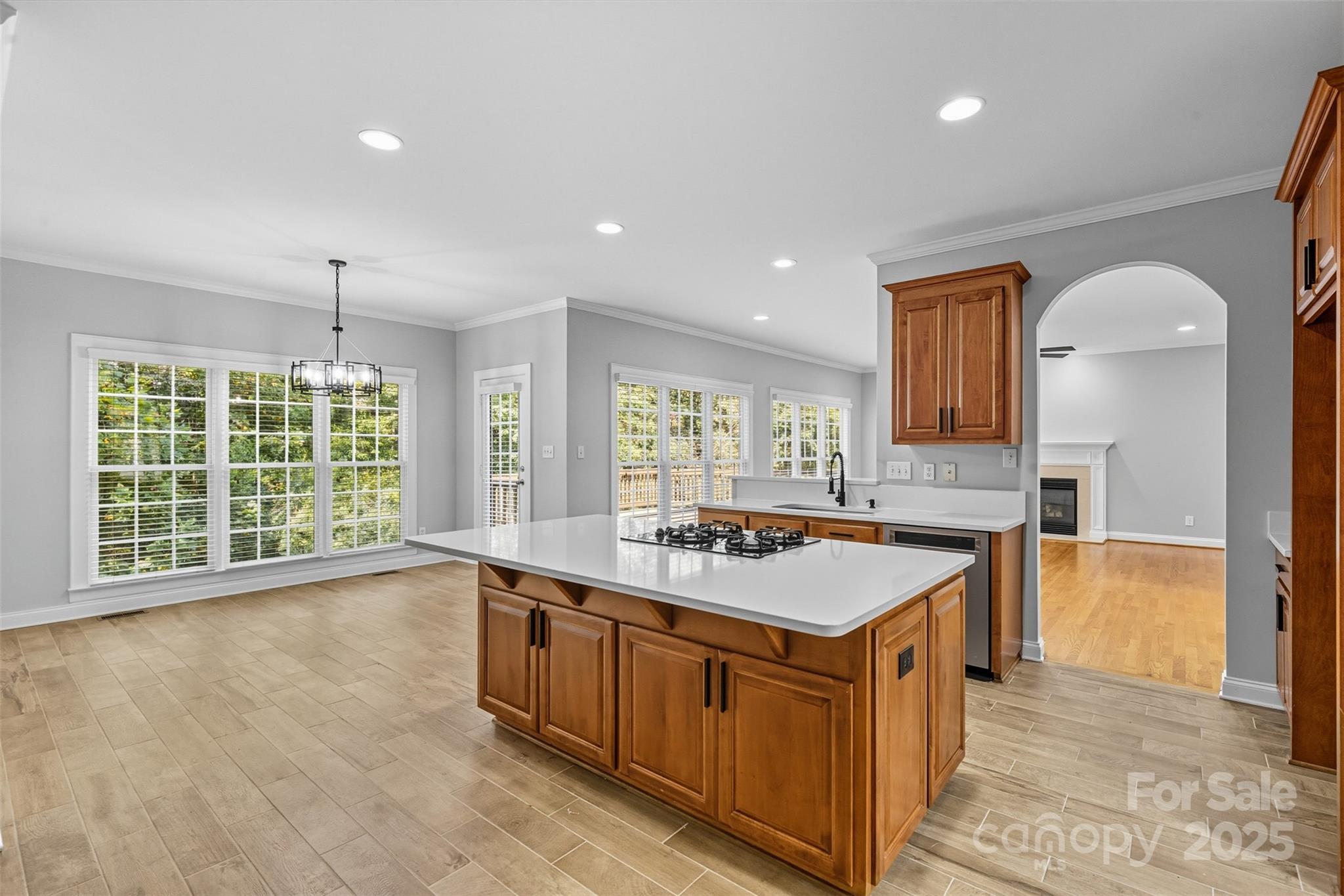 11139 Tradition View Drive — Charlotte