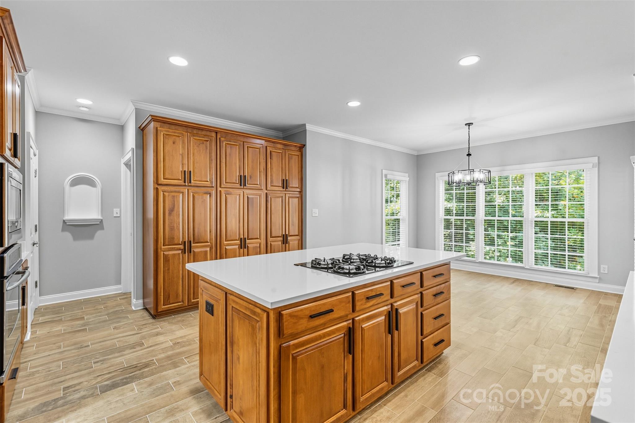 11139 Tradition View Drive — Charlotte